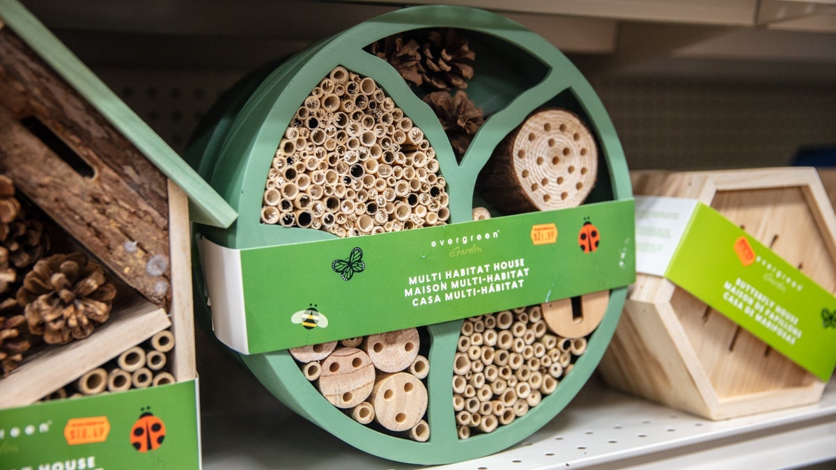 Photo: Colin Purrington