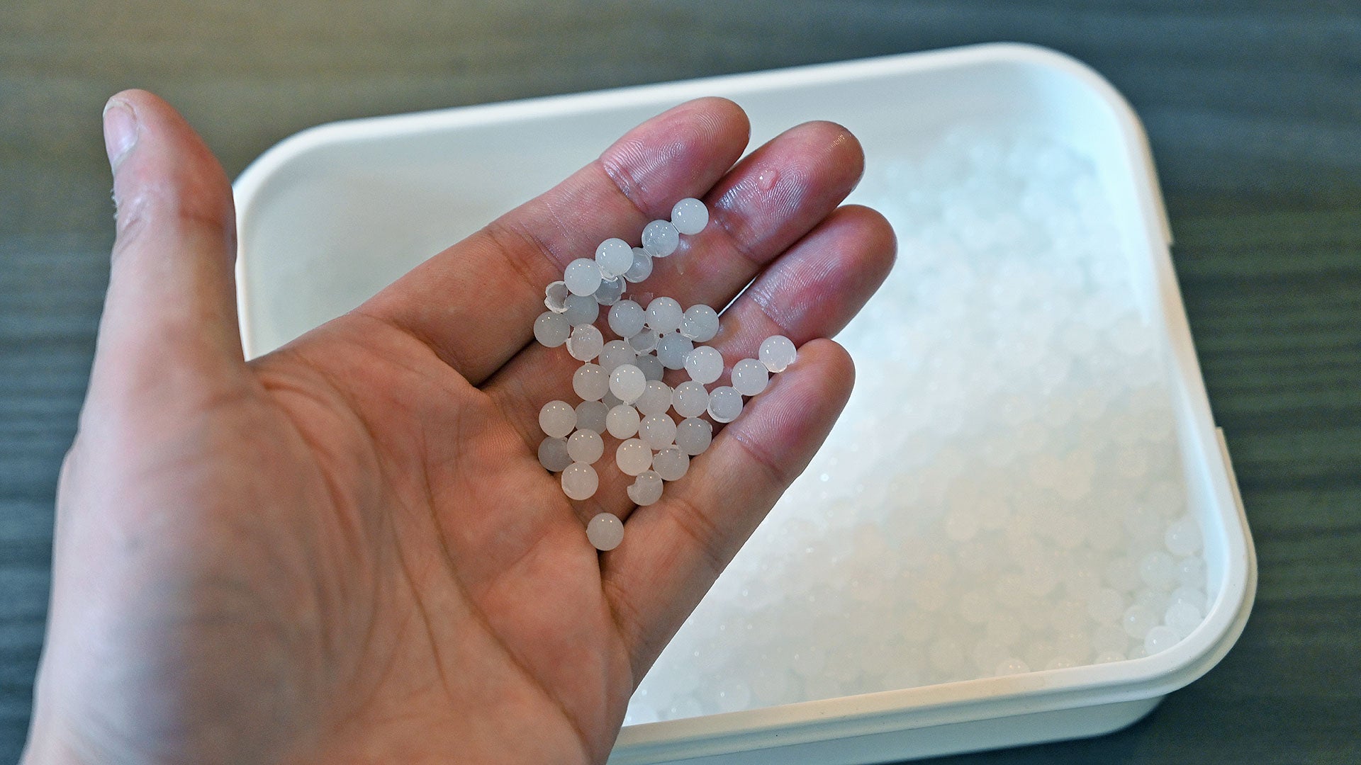 Photo: Sam Rutherford