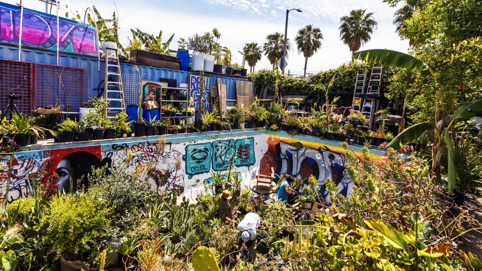 An urban farm in south-central Los Angeles