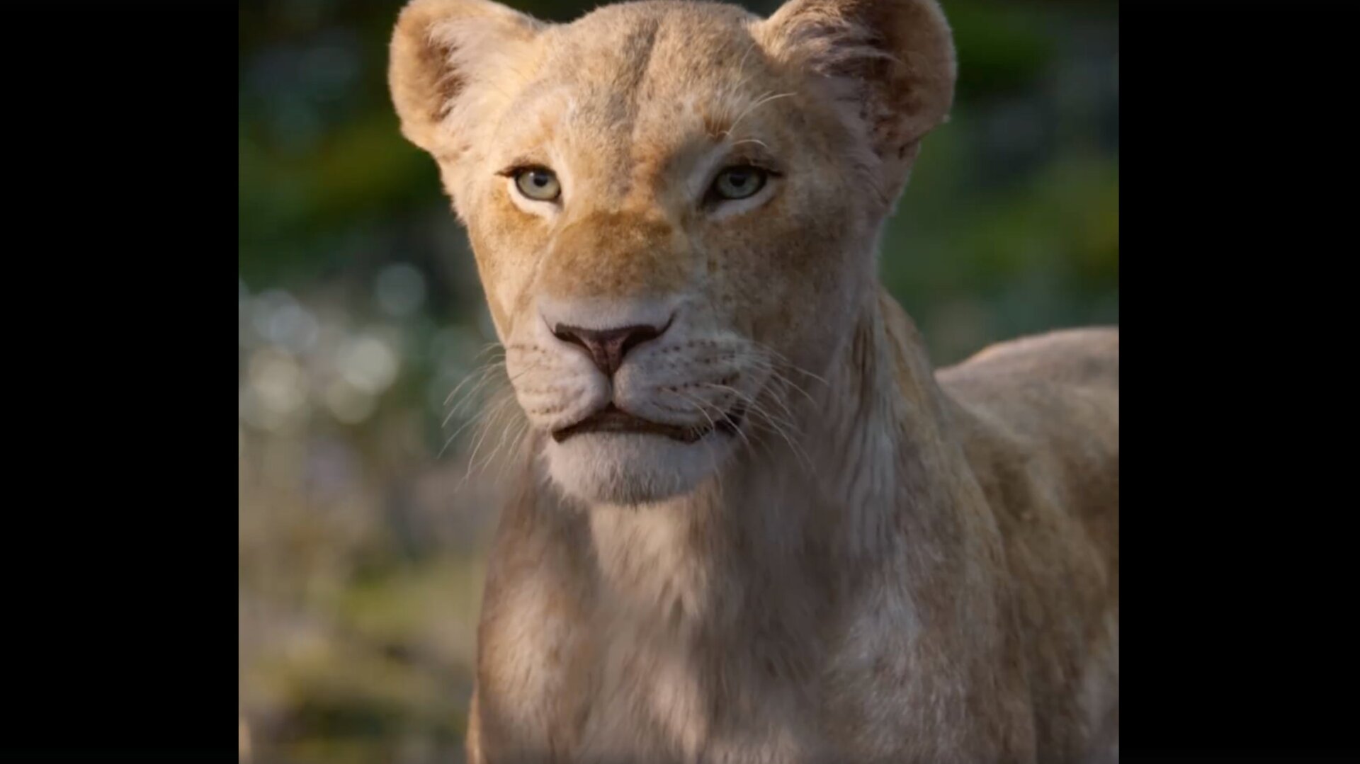 Nala in Jon Favreau’s The Lion King
