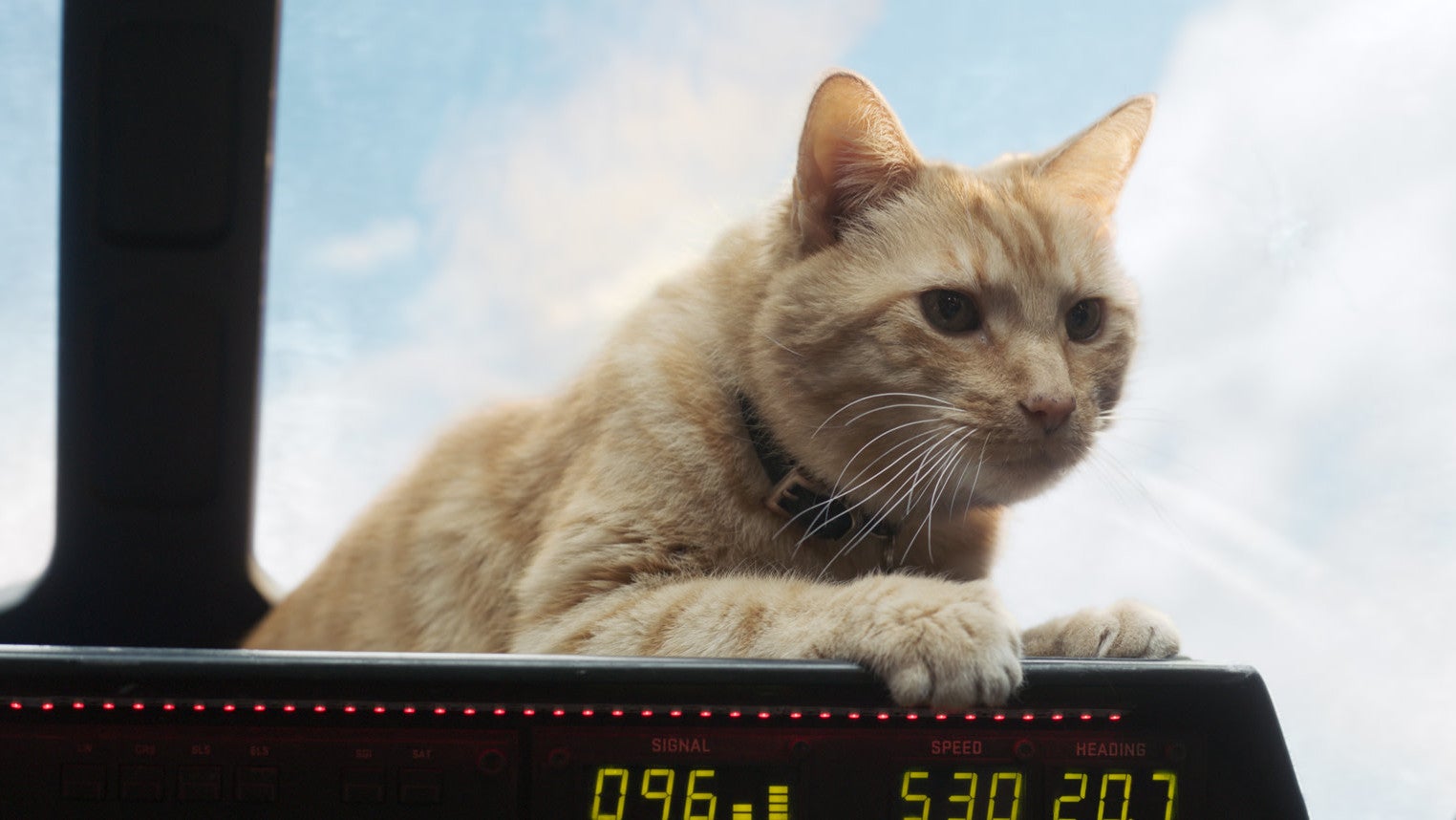 Cat is good, and Goose is cat.