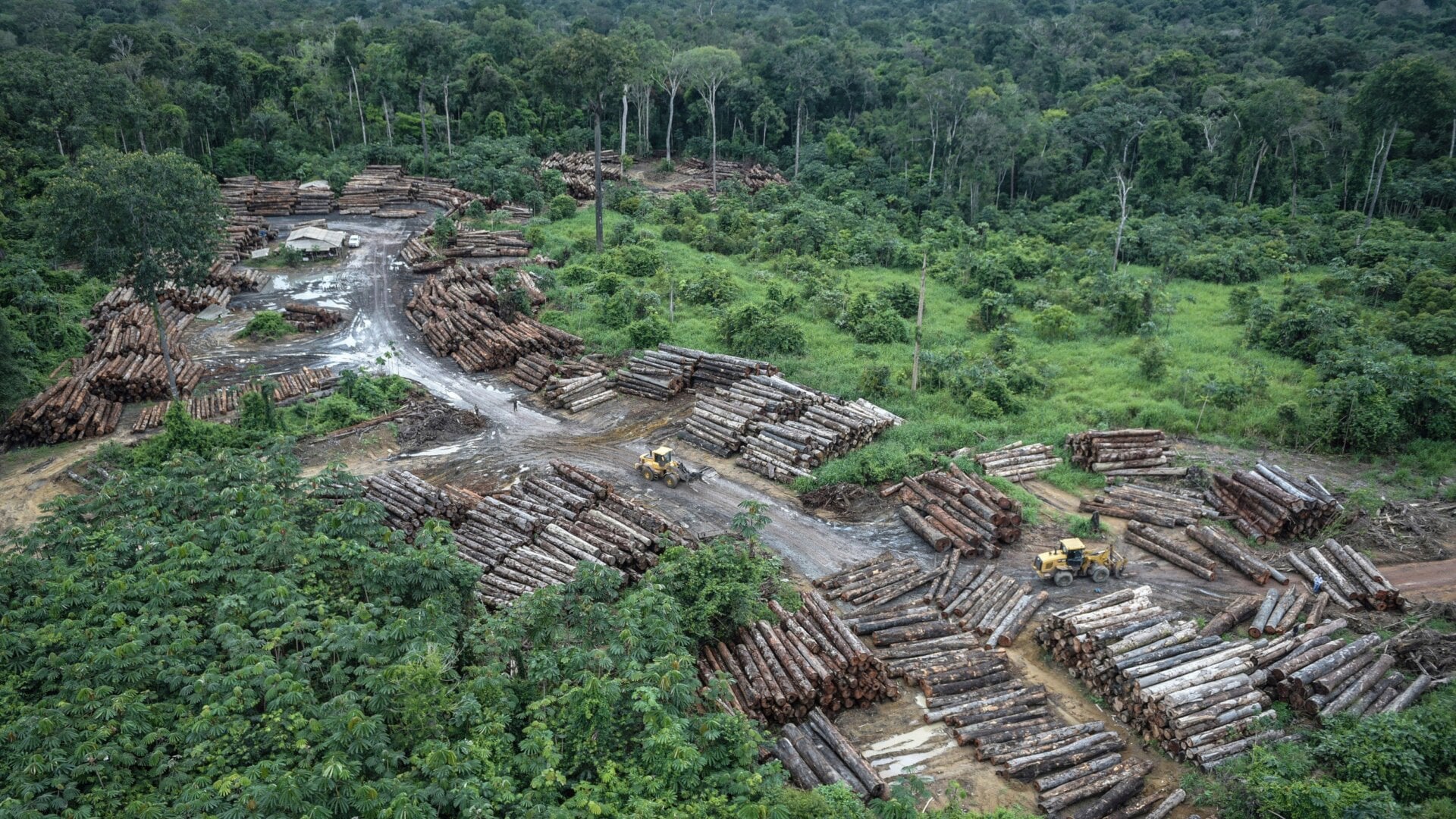 Deforestation was a problem even in 2018. Things aren’t looking better now.