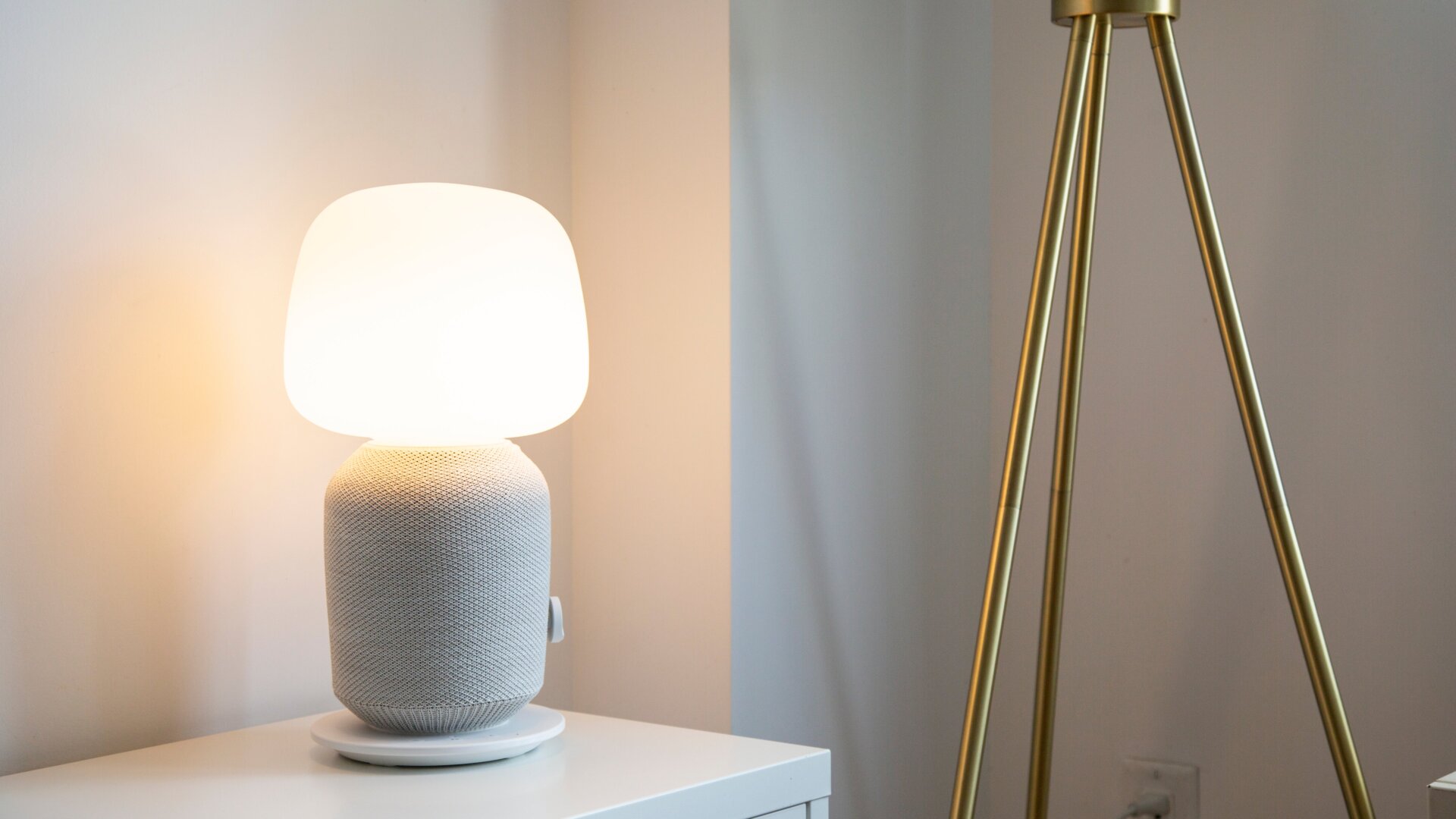 Photo: Adam Clark Estes