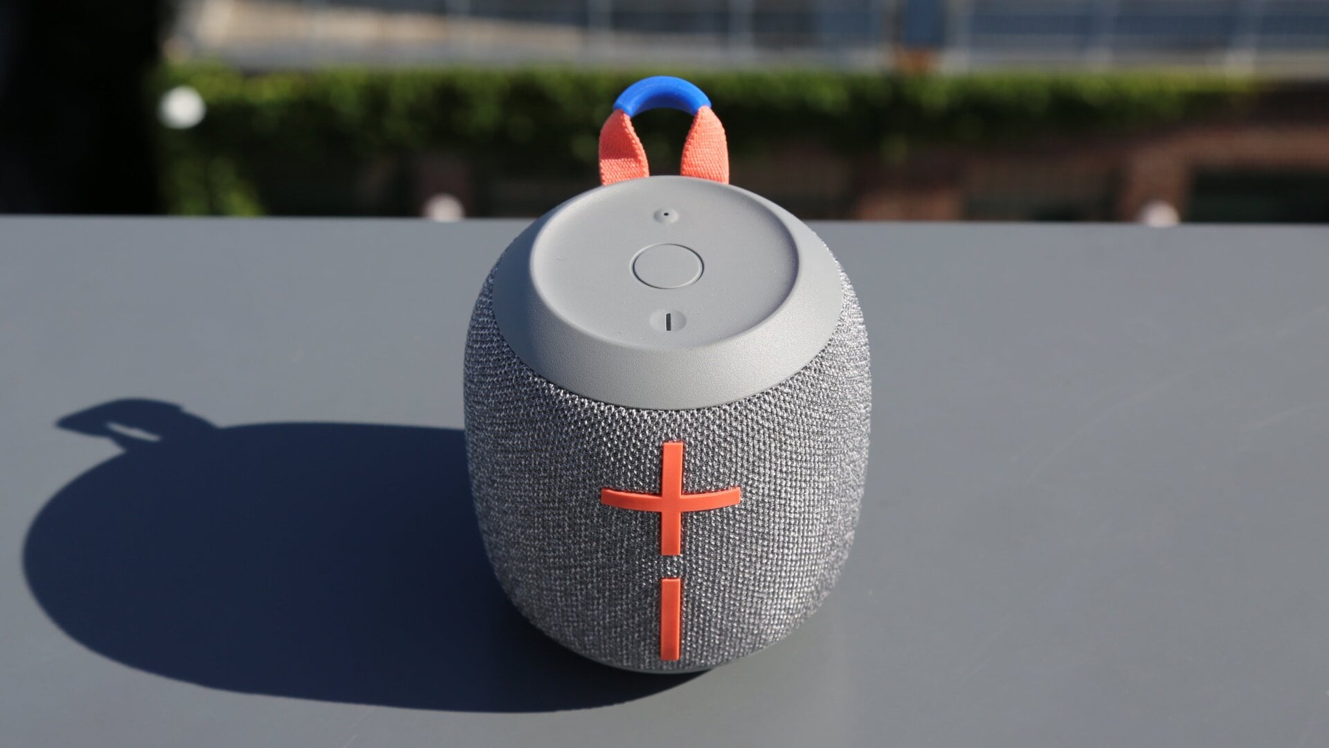 Photo: Adam Clark Estes