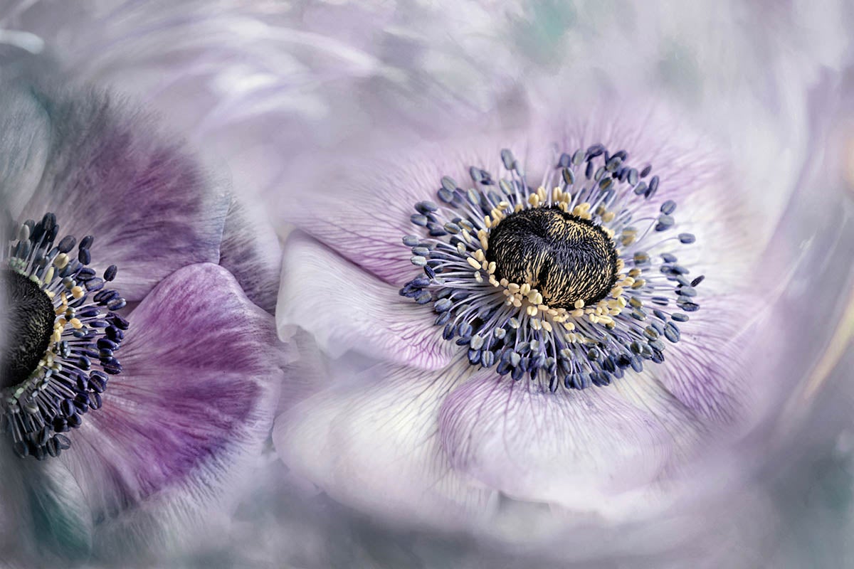 Photo: Lizzy Petereit