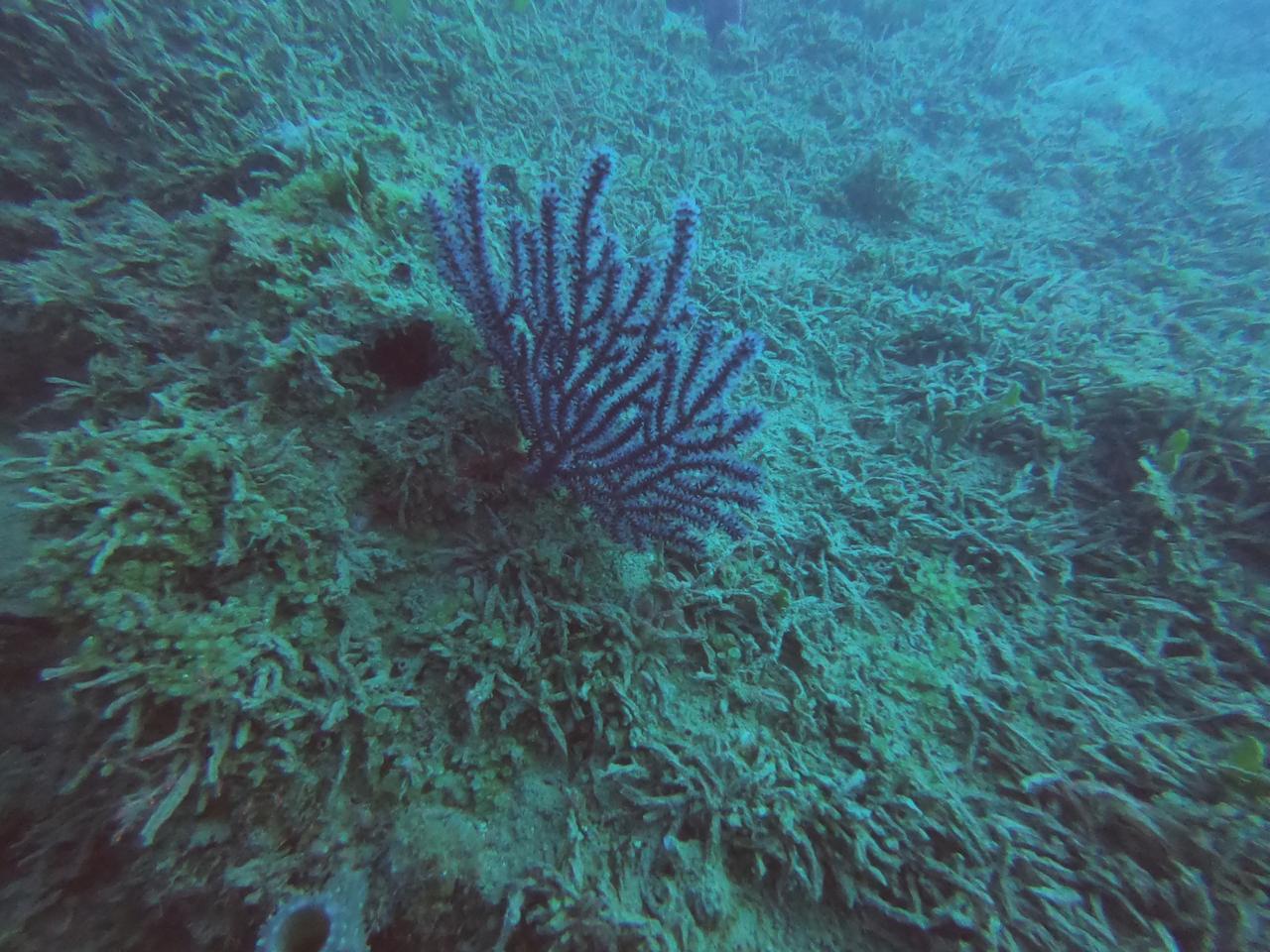 Photo: Courtesy of Leonardo Ortiz Lozano