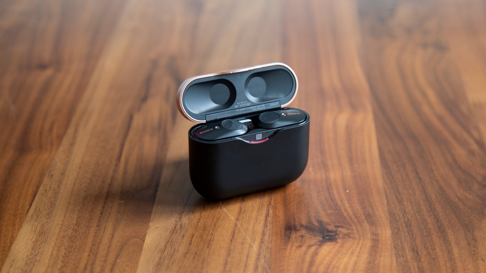 Photo: Adam Clark Estes