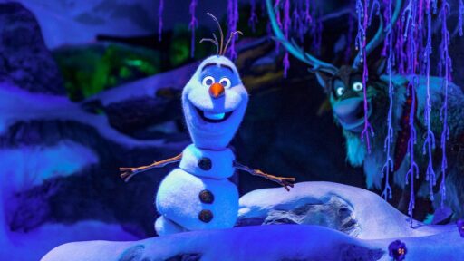 Disney Rabies Rabies Alert Issued Near Walt Disney World's Epcot After Feral Cat ...
