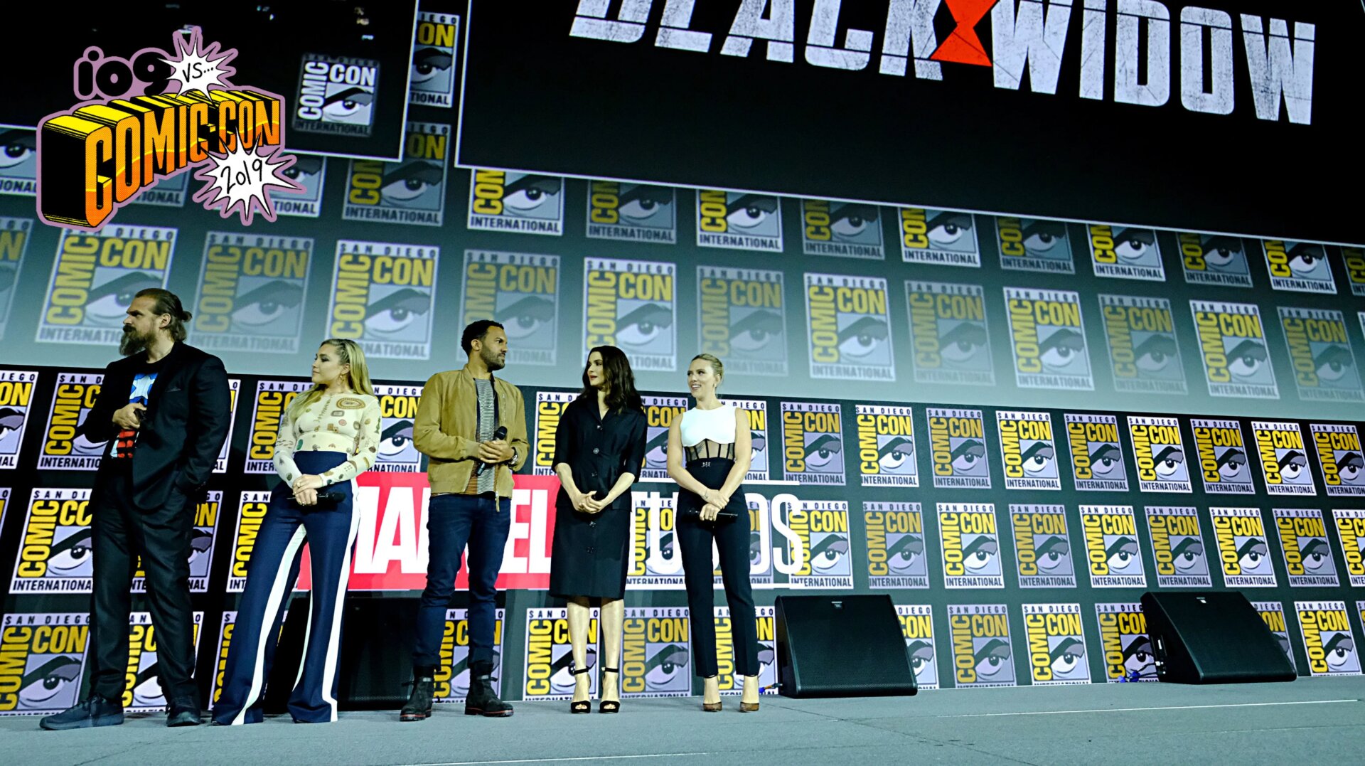 The cast of Black Widow in Hall H.