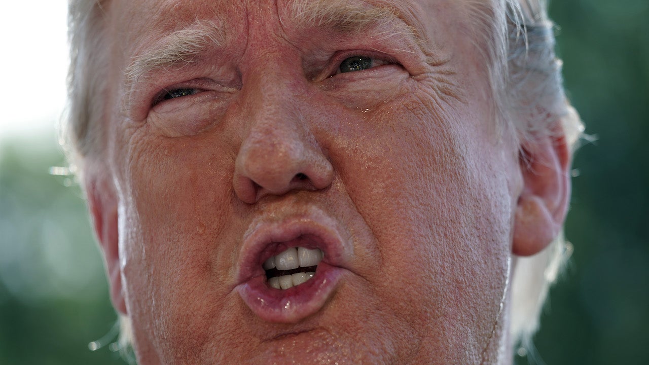 President Donald Trump, longtime white supremacist, accused rapist, and baby jailer,  on July 5, 2019