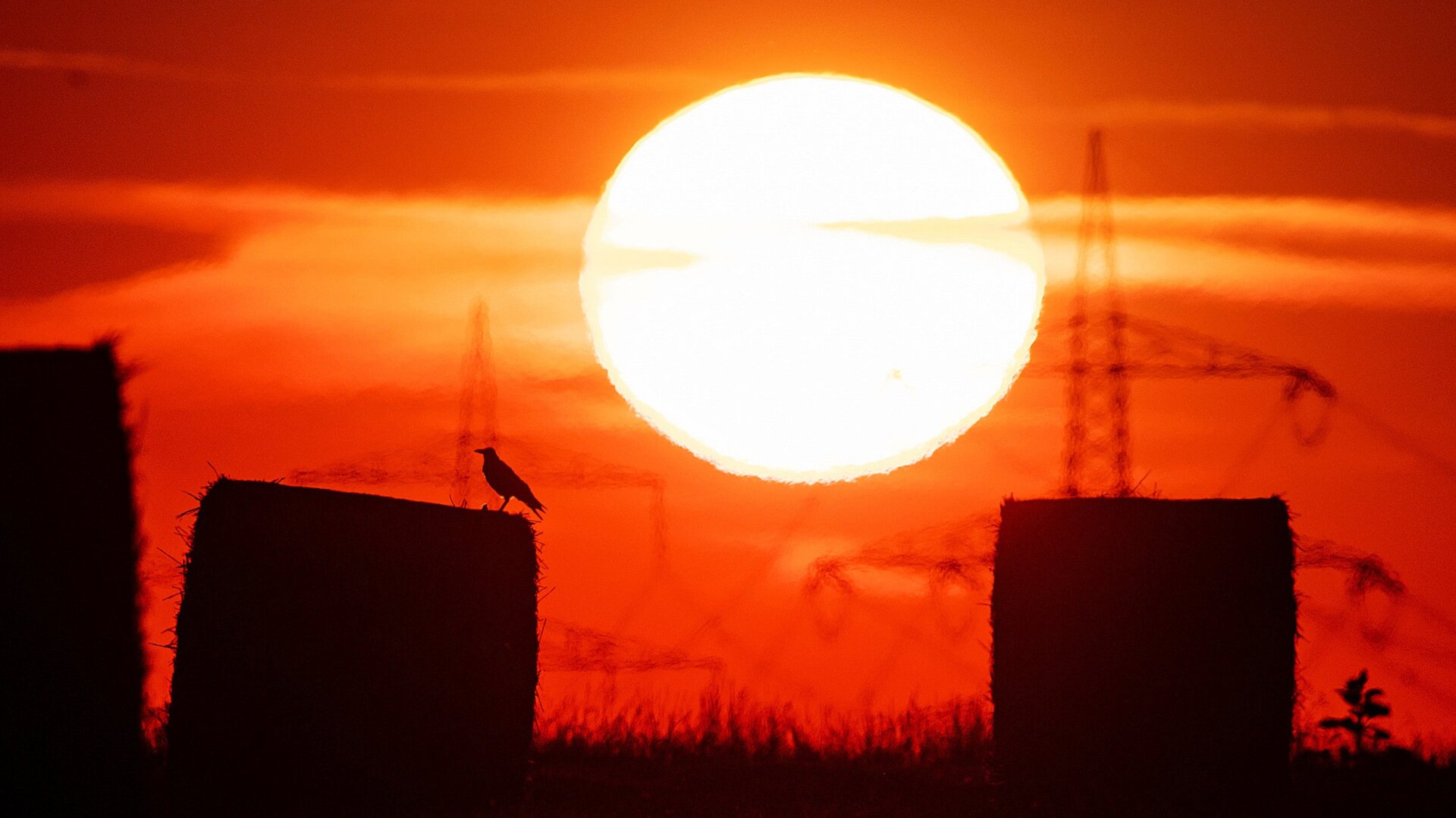 The heat has been real in Germany.