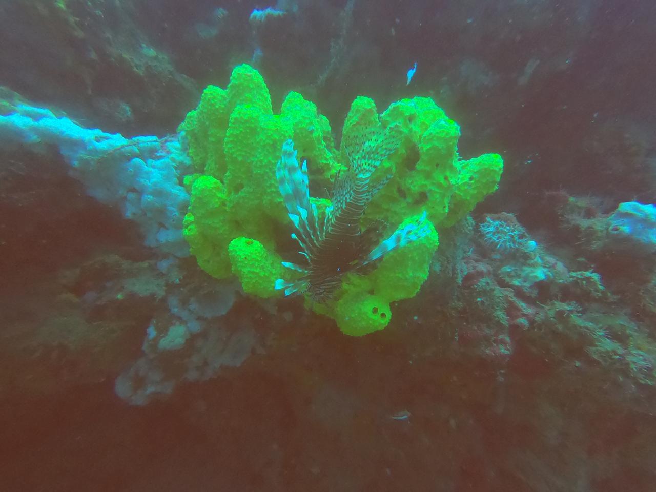 Photo: Courtesy of Leonardo Ortiz Lozano