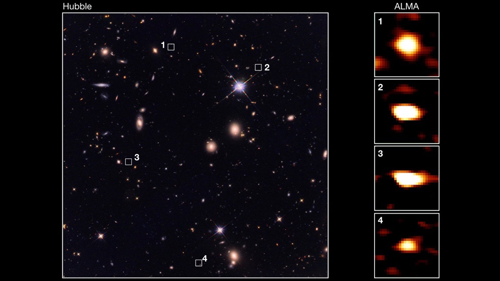 The galaxies are invisible to Hubble (left) but not to ALMA (right).