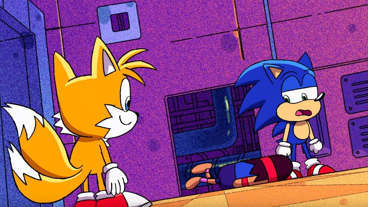 Sonic is not really approving.