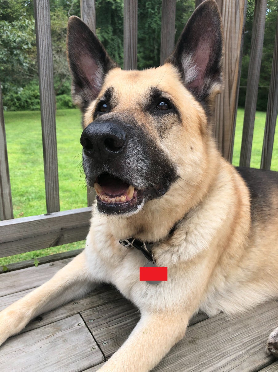 Photo: Andrew Couts / Gizmodo