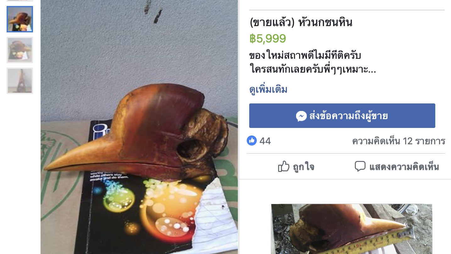 A Thai facebook post advertising a hornbill head