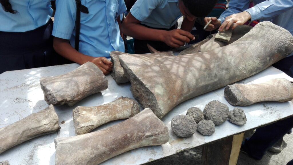 Photo: Photos courtesy Carlos Jaramillo