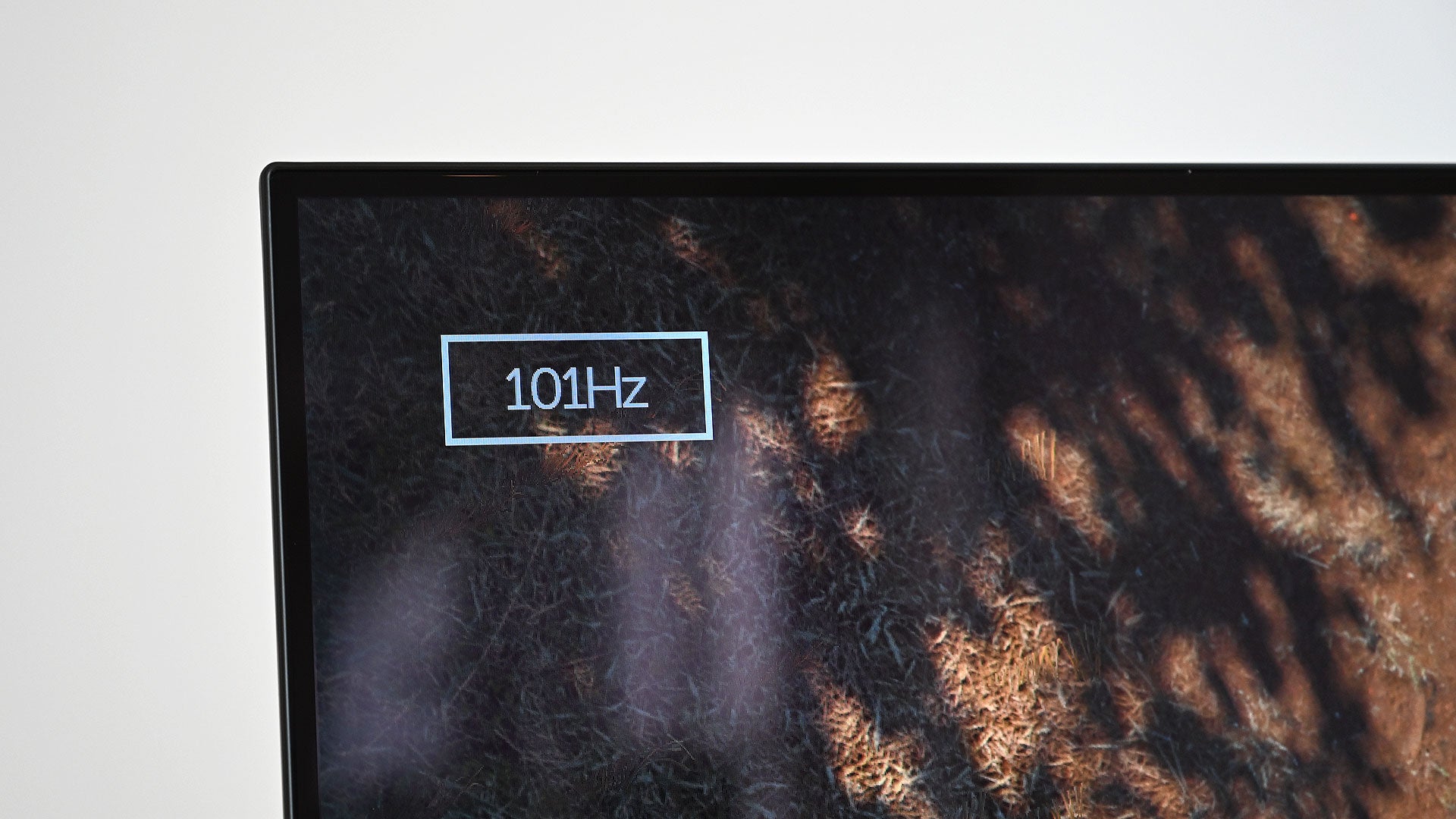 Photo: Sam Rutherford