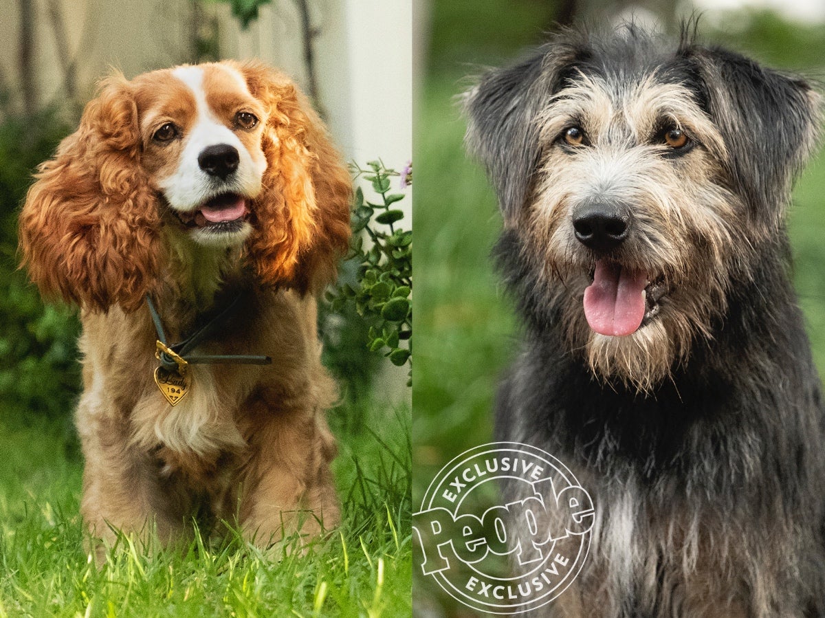 Photo: K.C. Bailey/Disney