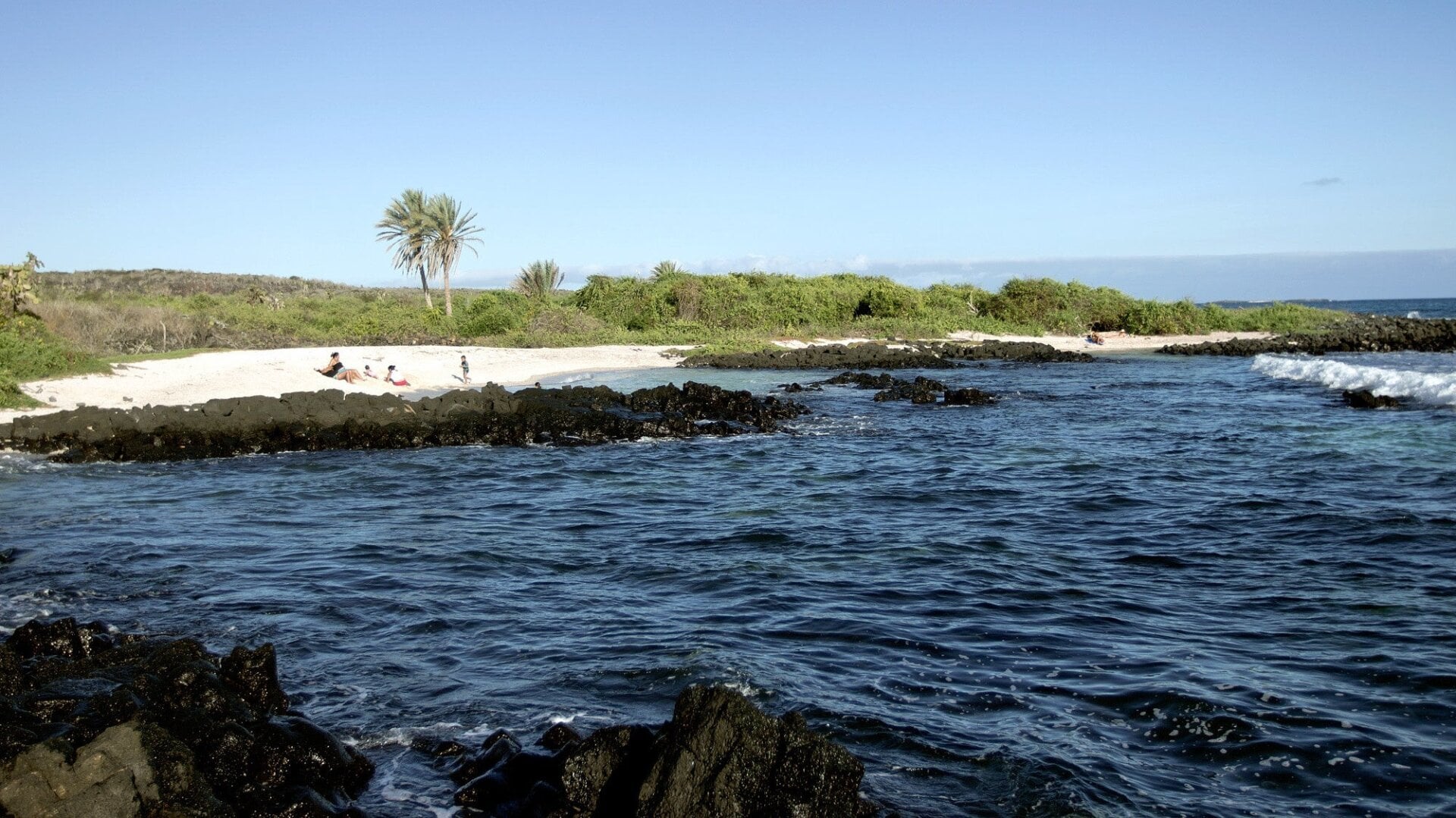 A Galápagos beach.