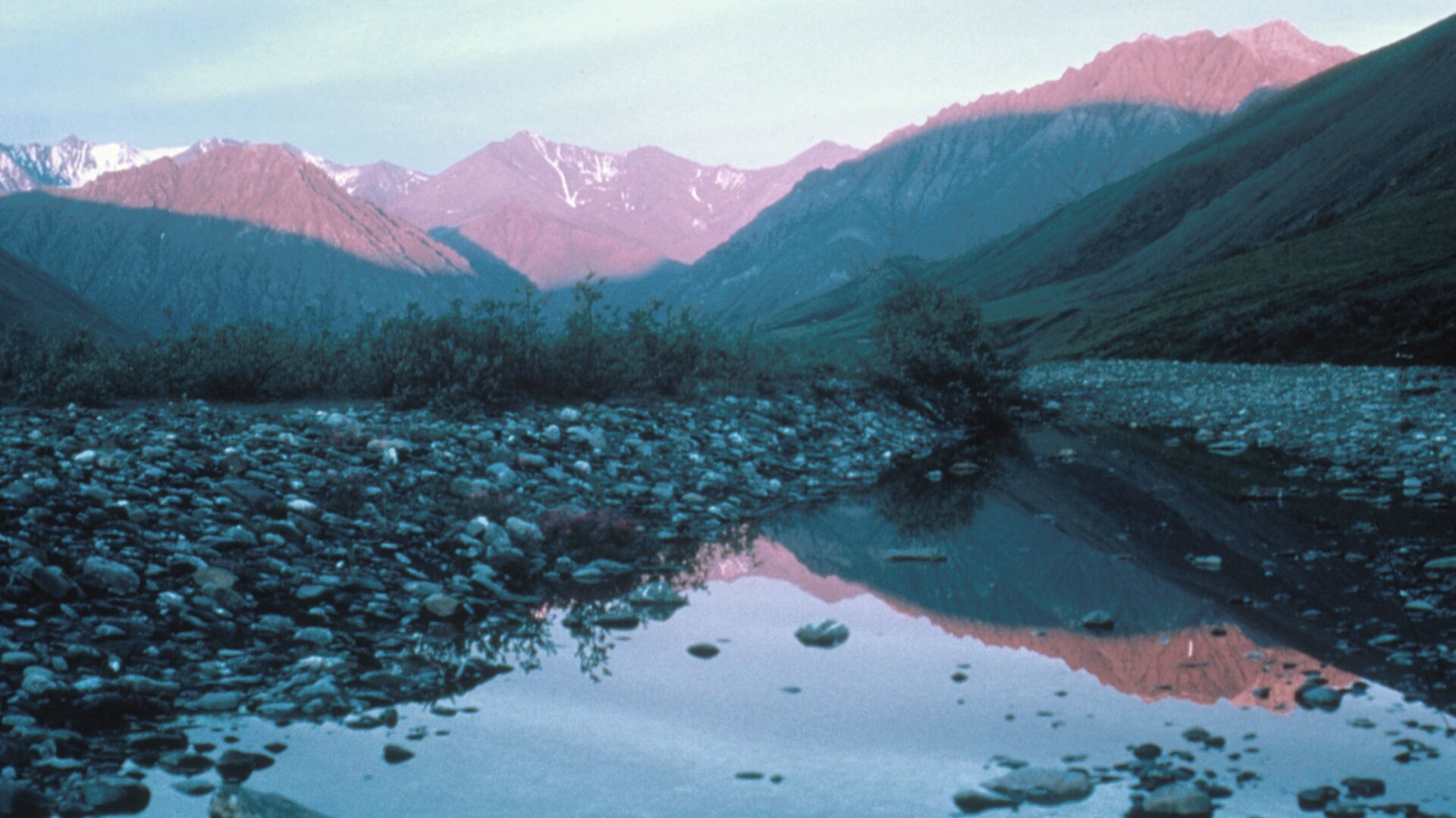 The Arctic National Wildlife Refuge