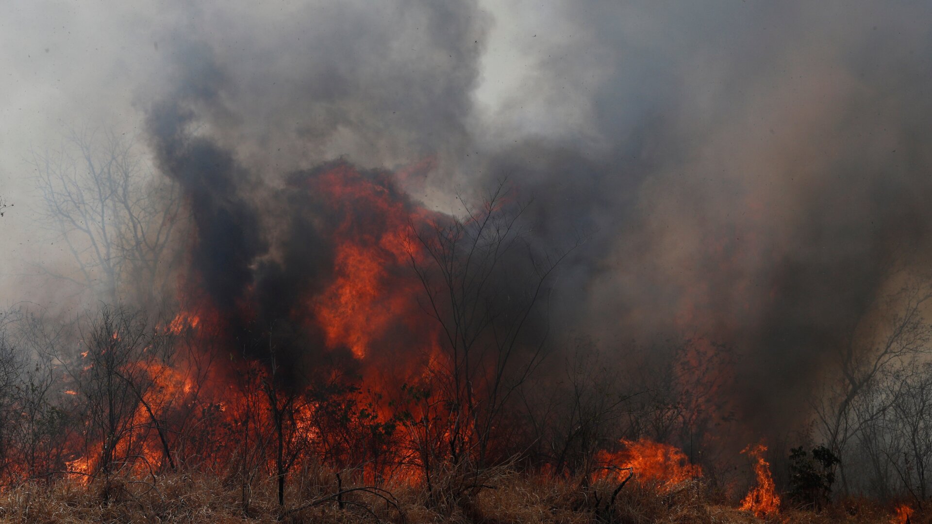 The Chiquitania Forest ablaze on August 30, 2019.