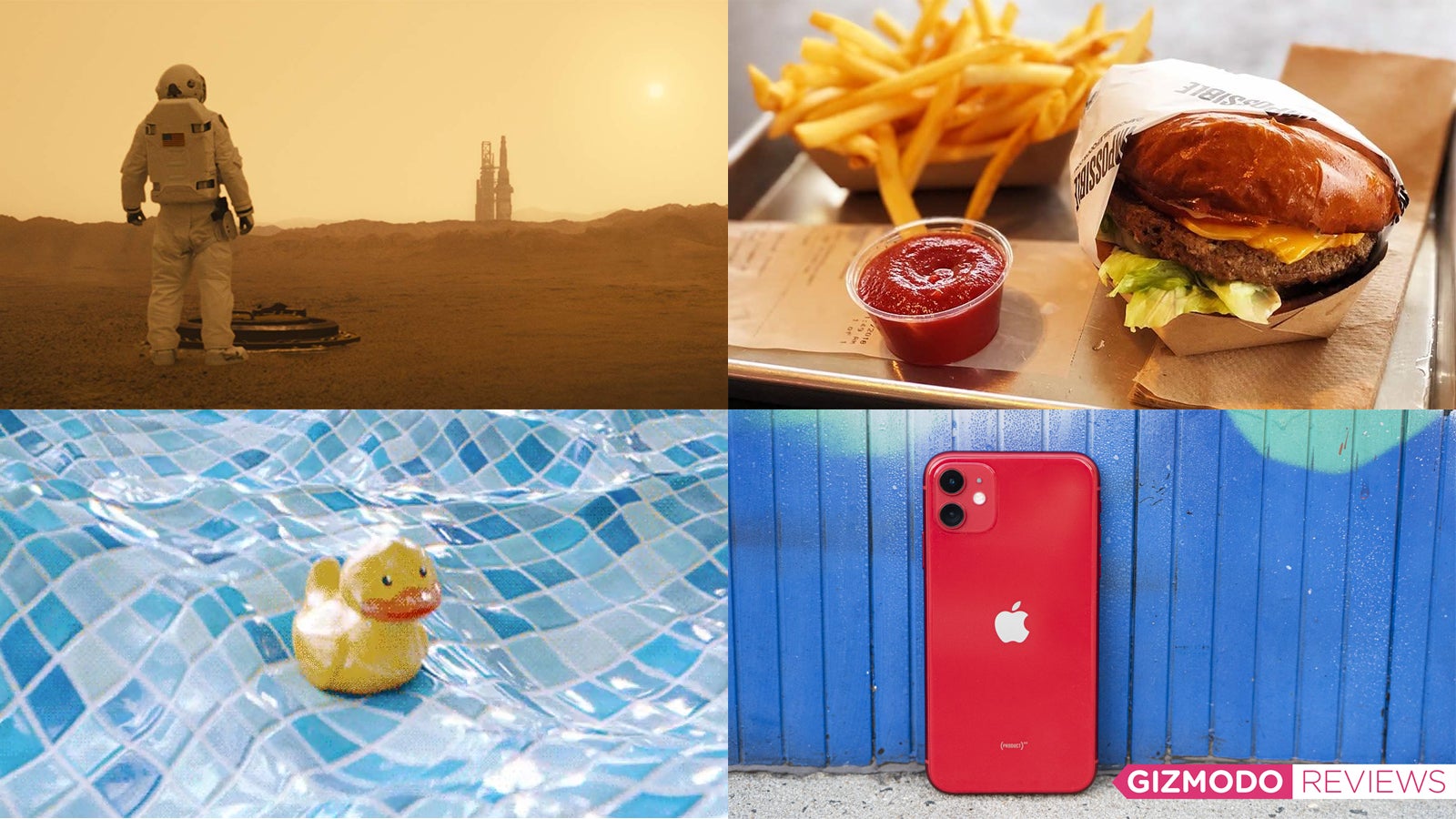 Clockwise from top left: Twentieth Century Fox; Missvain (Wikimedia Commons); Alex Cranz (Gizmodo); Pablo Lopez, “Trippy Duck,” 2018.