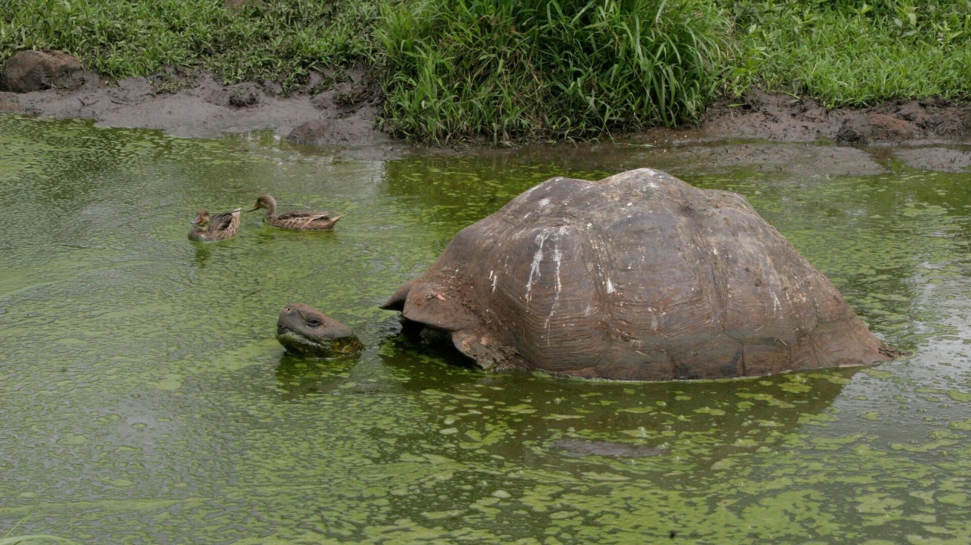 Photo: Michael Perry