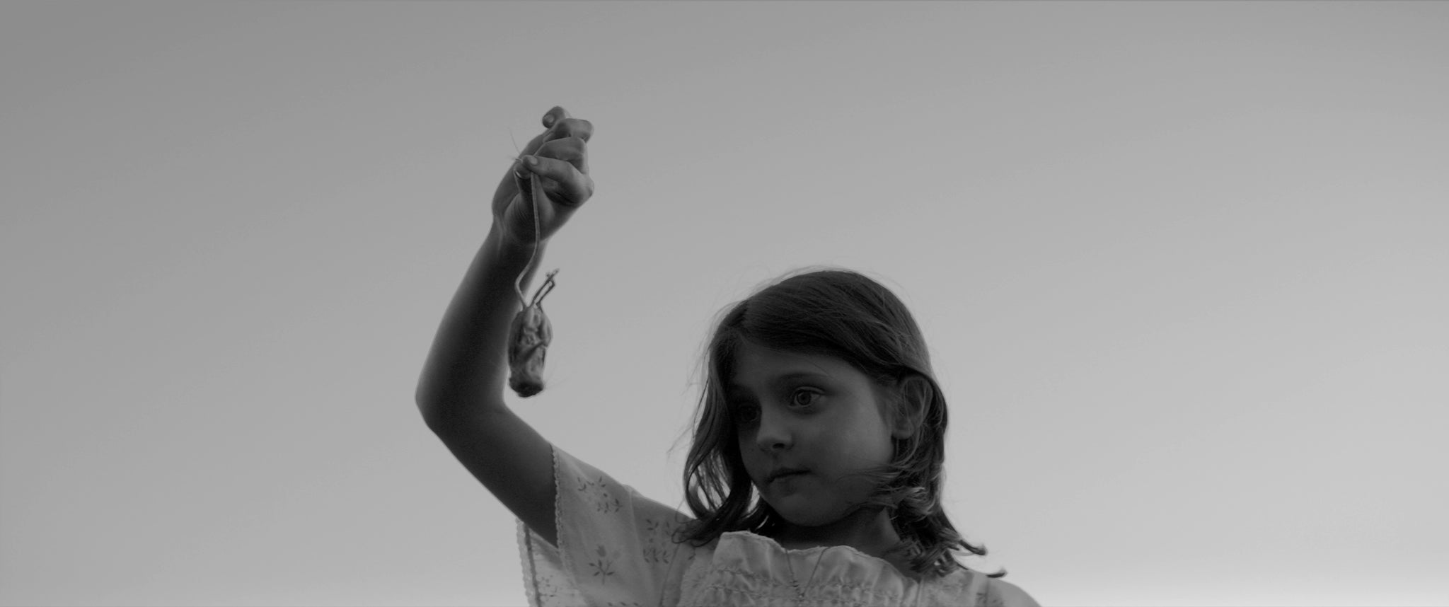 Olivia Bond finds some furry prey in The Eyes of My Mother.