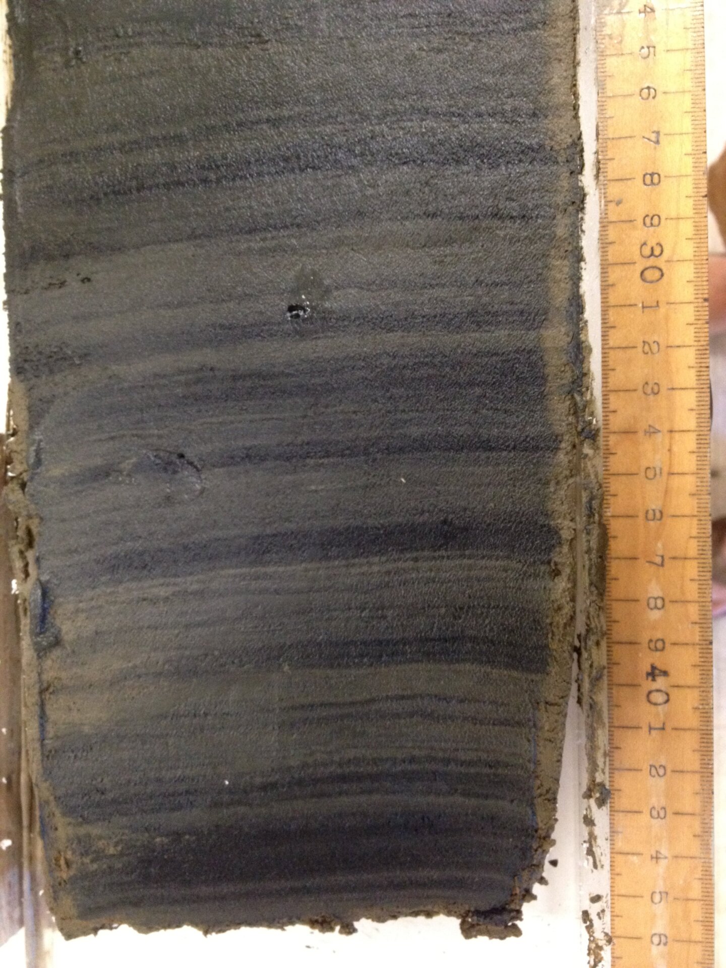 Photo: William Jones