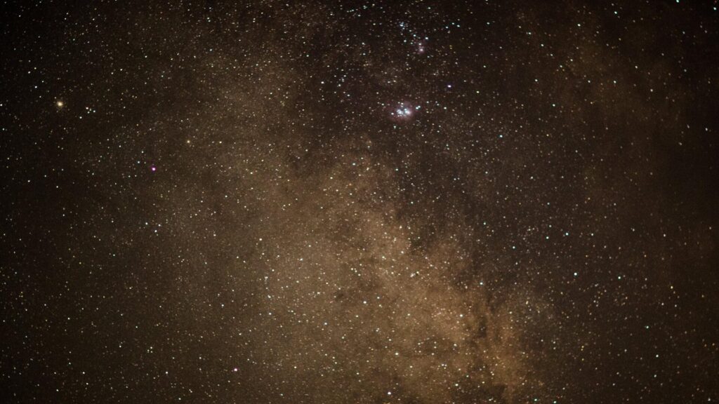 Photo: Ryan F. Mandelbaum