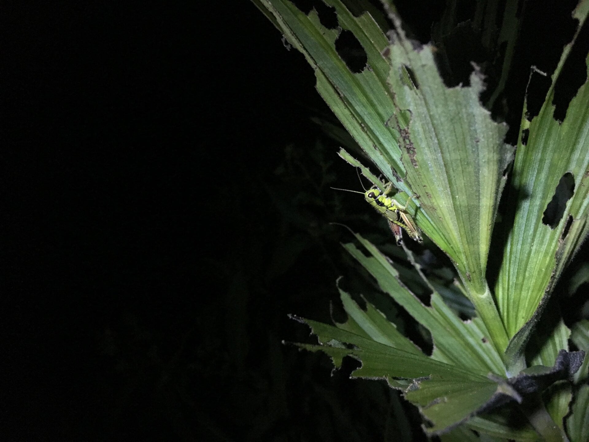 Photo: Brandon Barton