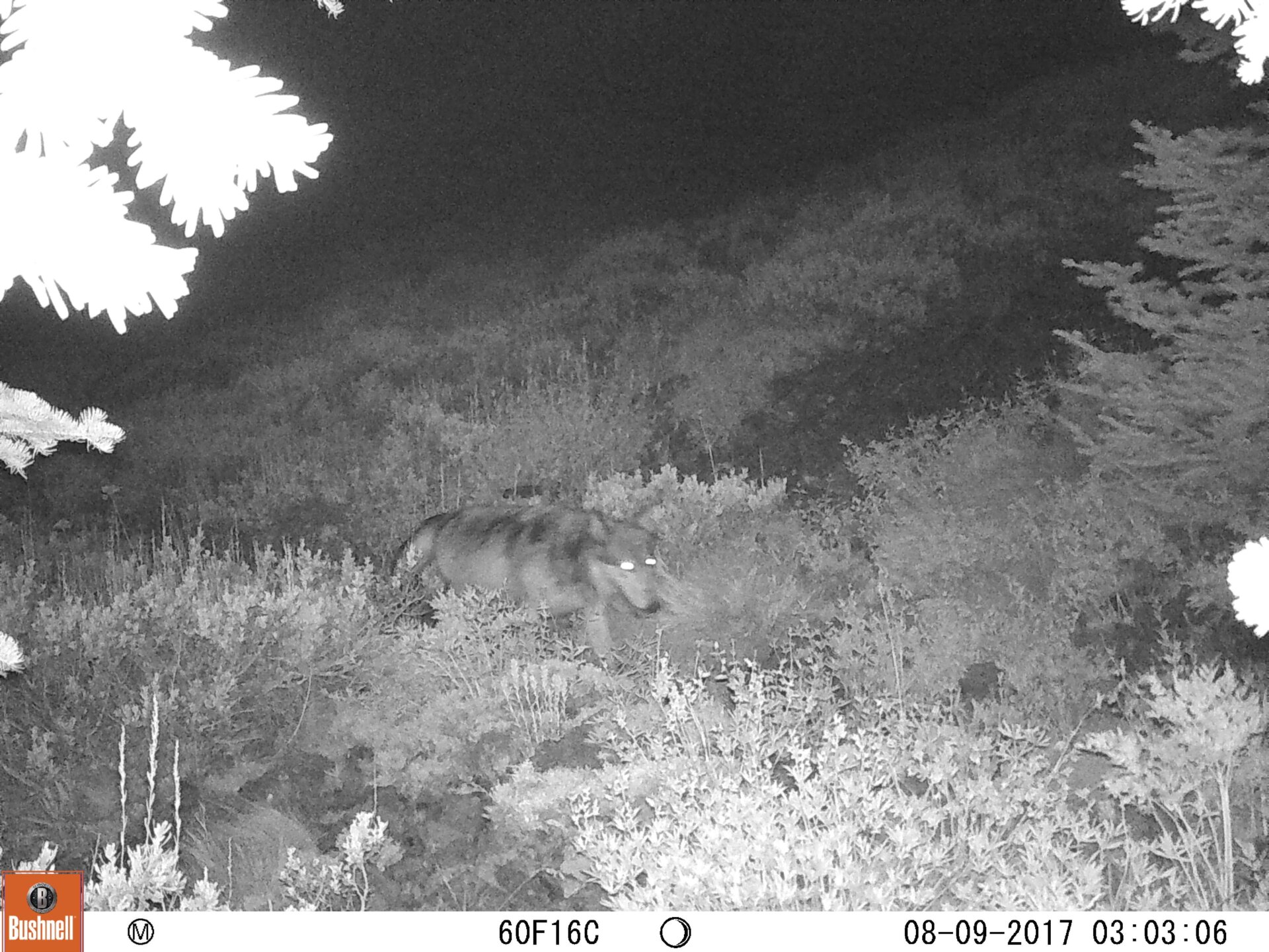 Photo: Brandon Barton