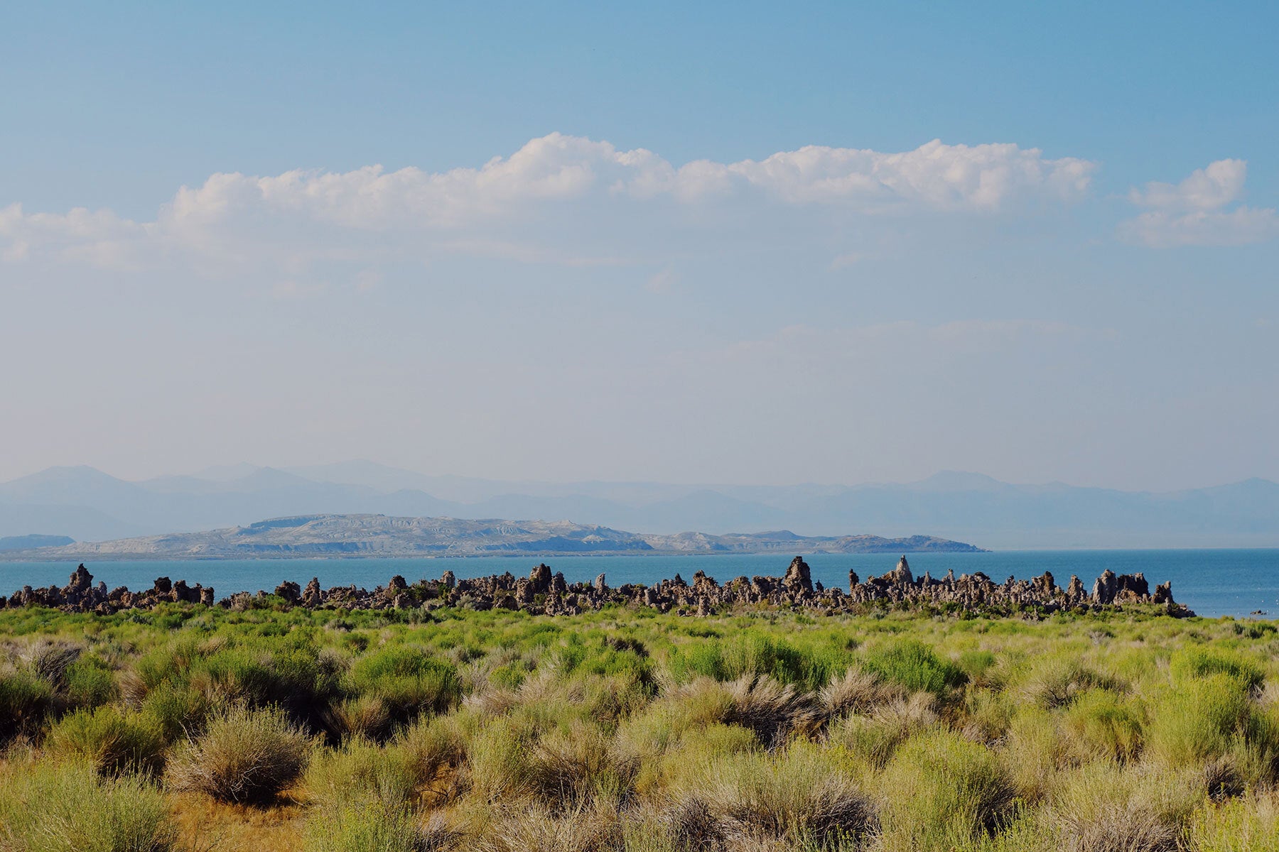 Photo: Paul Sternberg