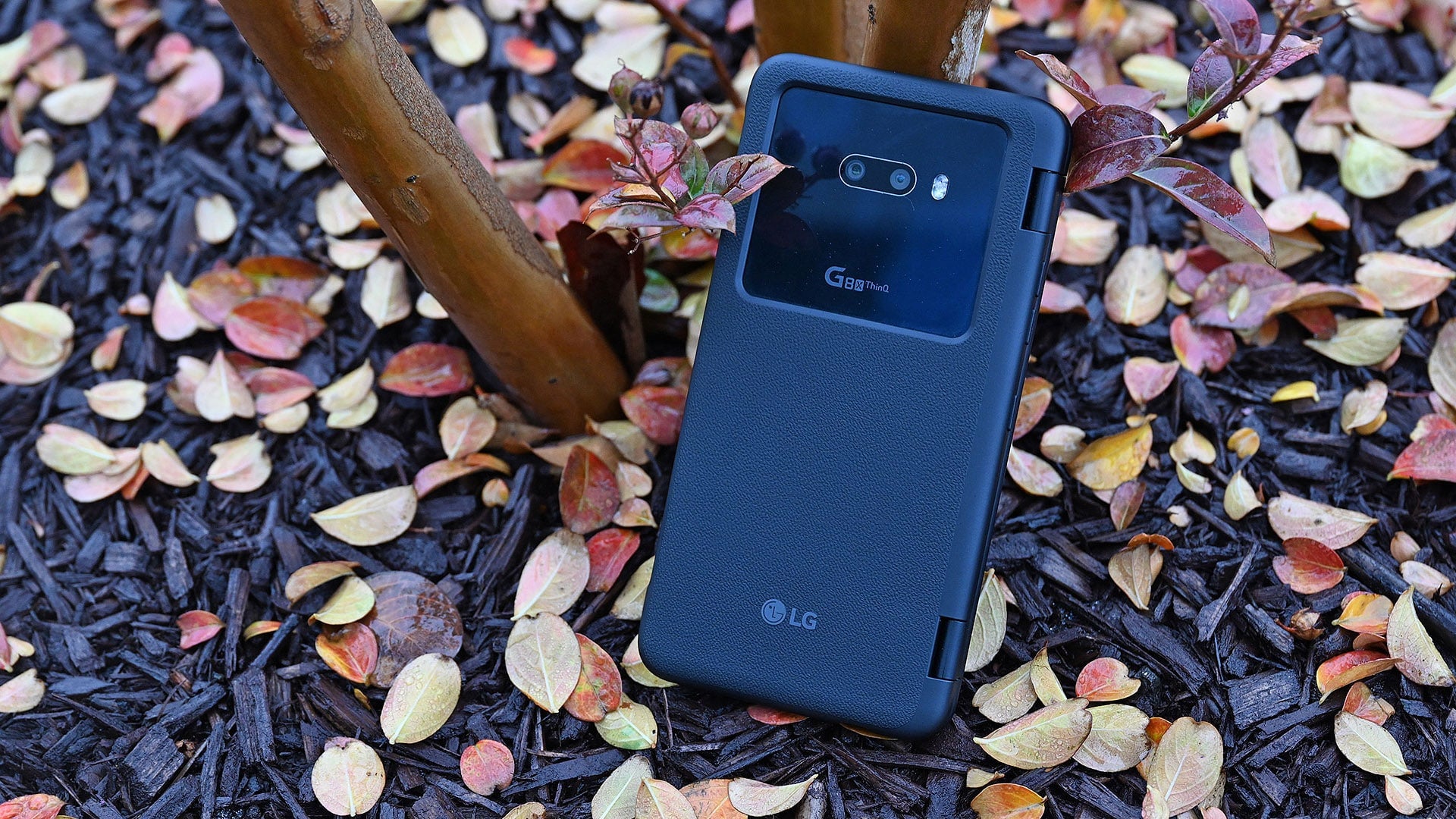 Photo: Sam Rutherford