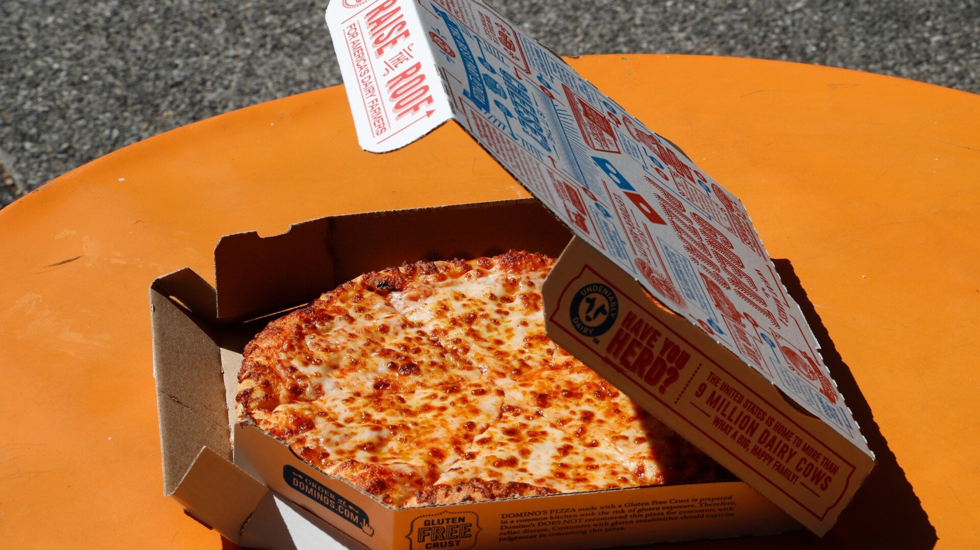 One of the Domino’s pizzas that everyone should have the equal right to, uhh, let’s say “enjoy.”