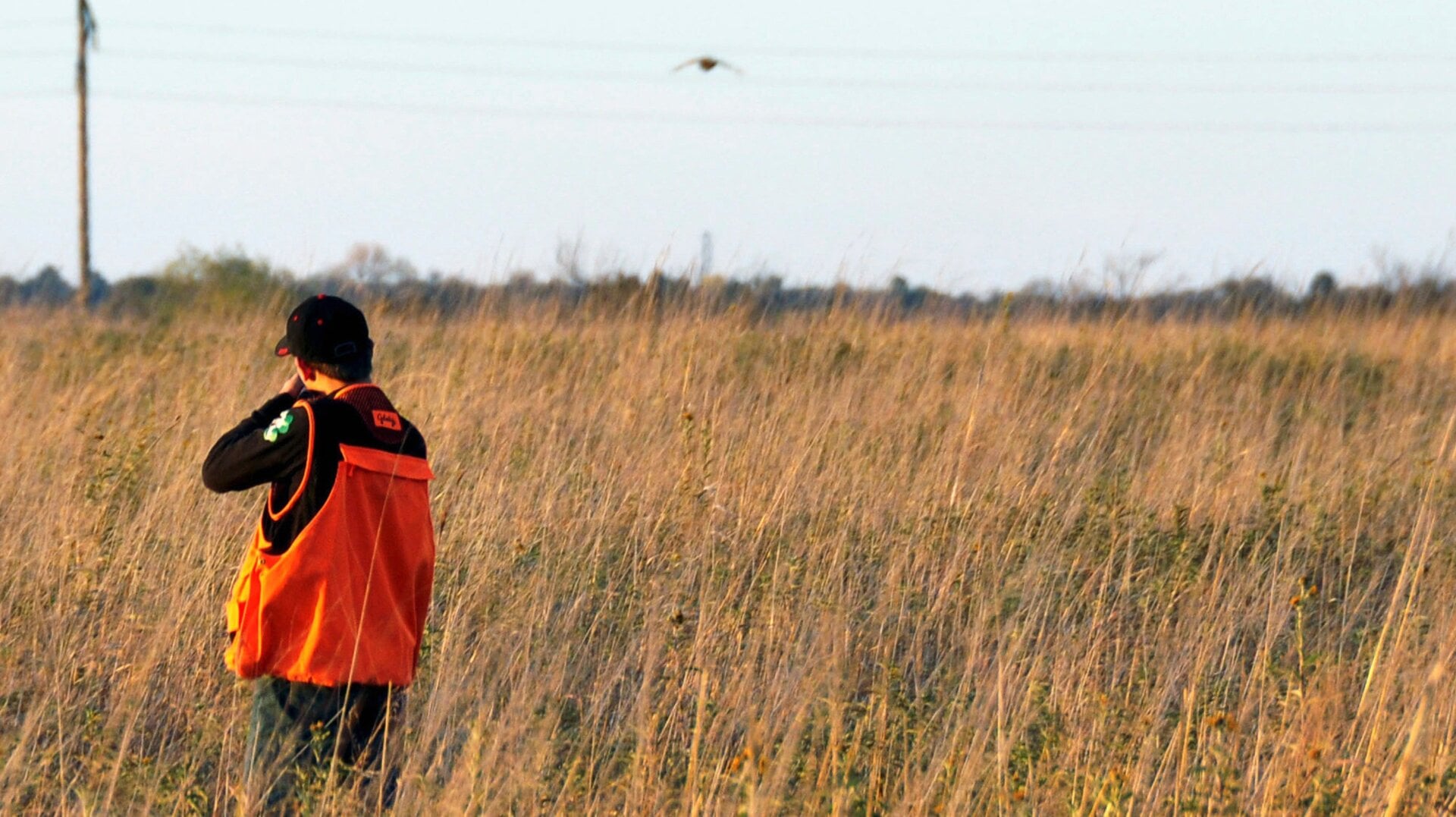 This is what North Dakotas’ wetland prairies look like when they’re not covered in oil.