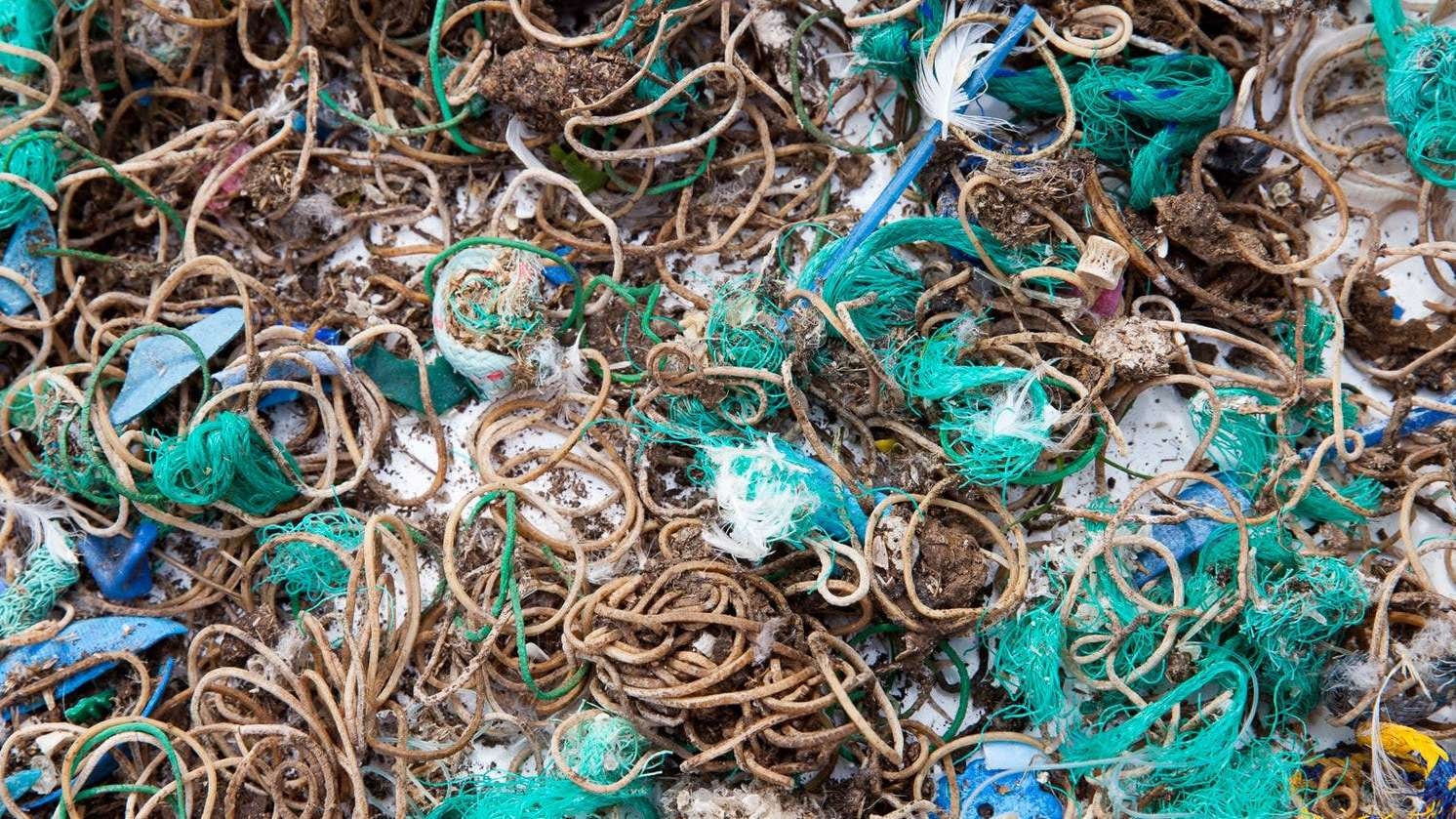 Elastic bands and fishing waste found on Mullion island.