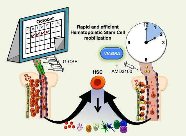Illustration: Smith-Berdan, et al