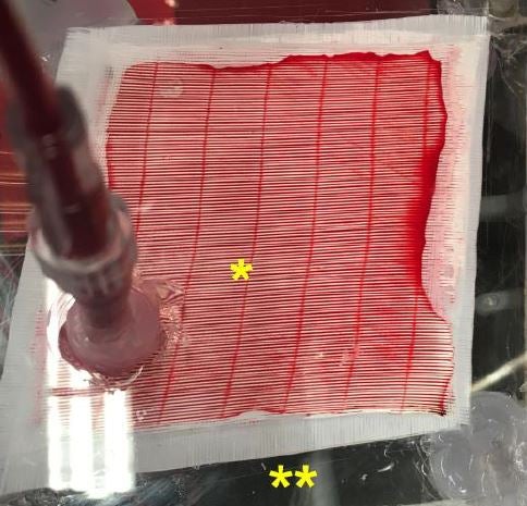 Photo: Zazzeron, et al