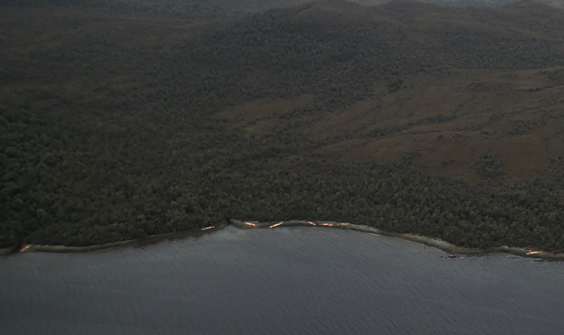 Photo: Hausermann/BAS