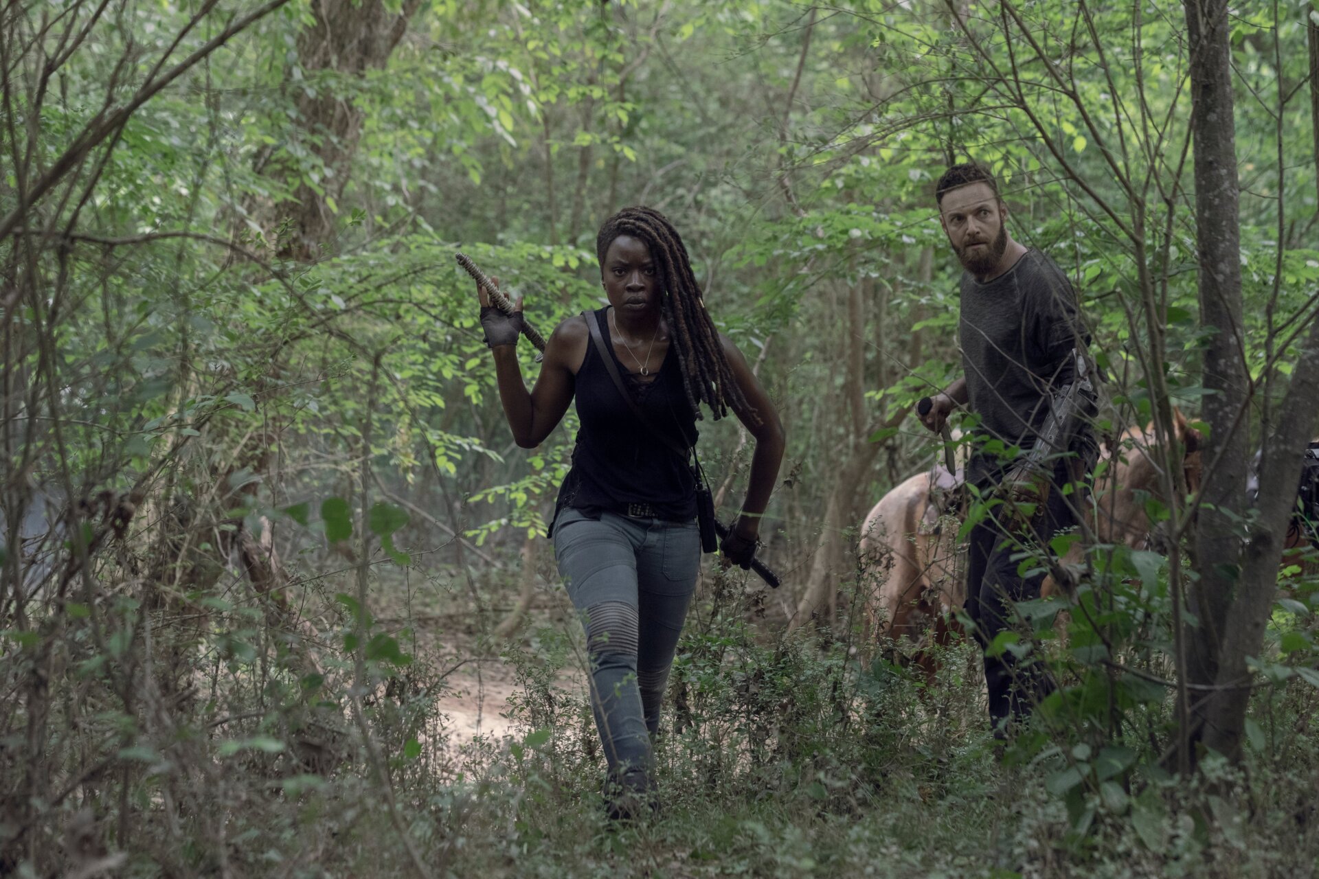 Image: Jackson Lee Davis