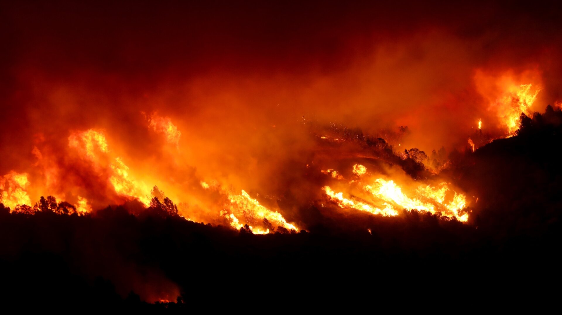 Meet the Kincade Fire.