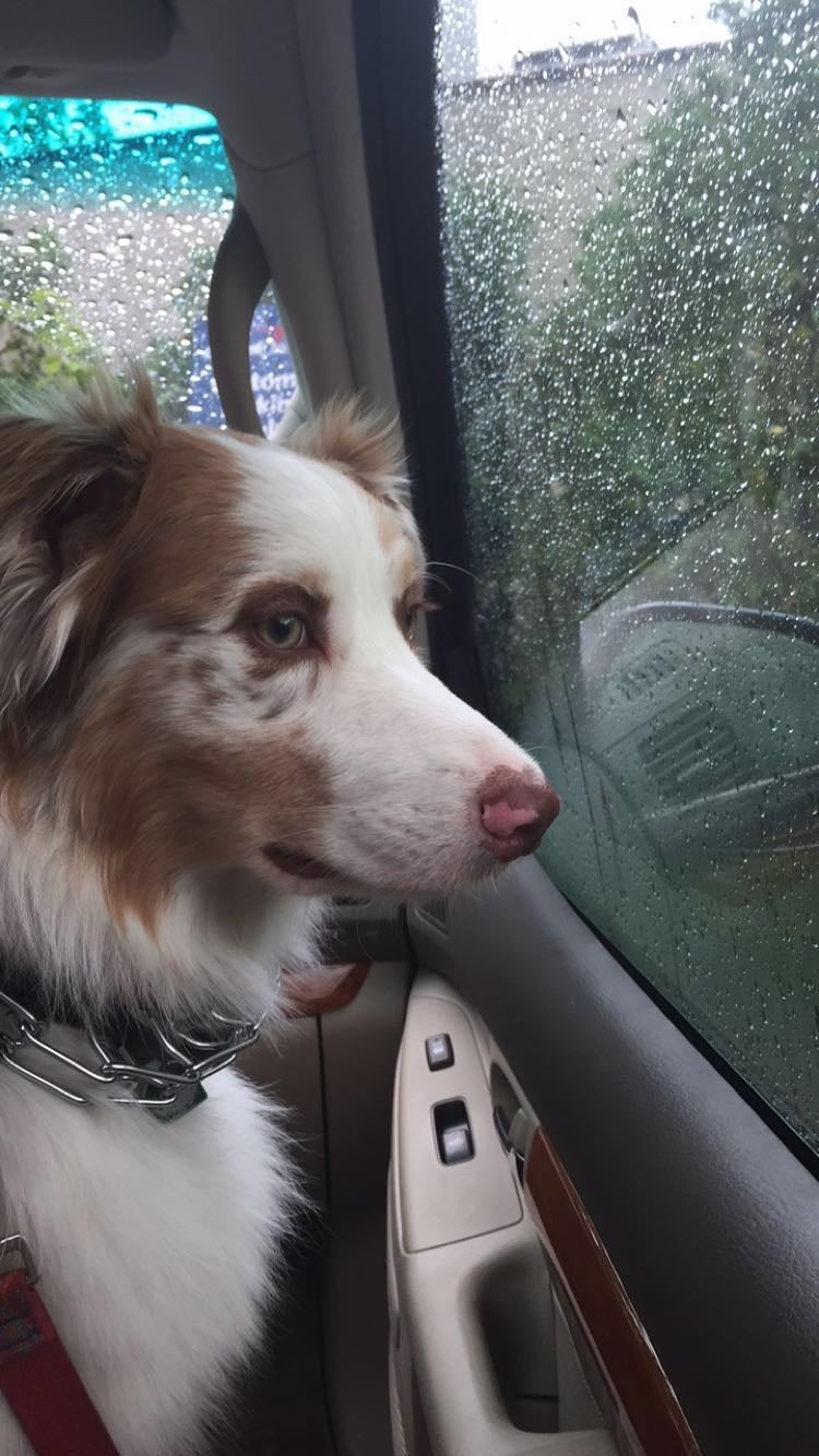 Photo: Emily Lipstein