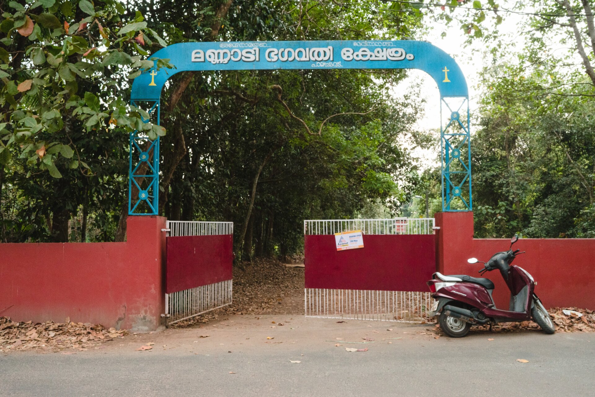 Photo: ©Richard Tamayo, All Rights Reserved