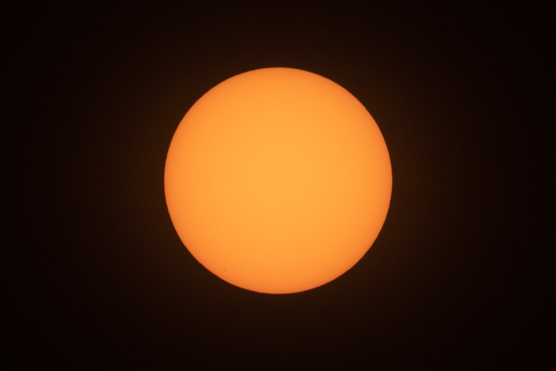 Photo: Ryan F. Mandelbaum