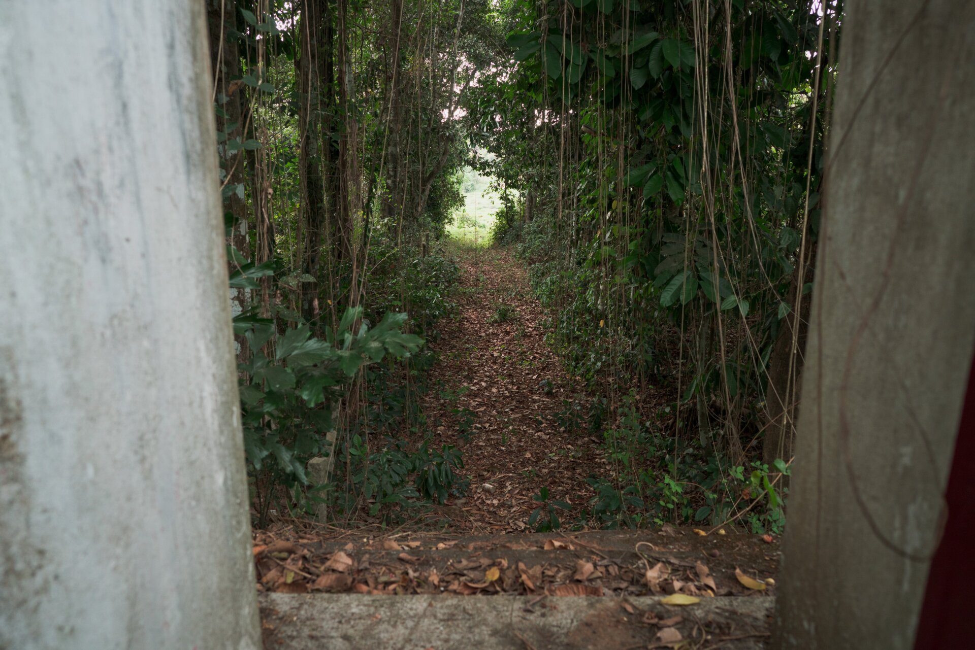 Photo: ©Richard Tamayo, All Rights Reserved