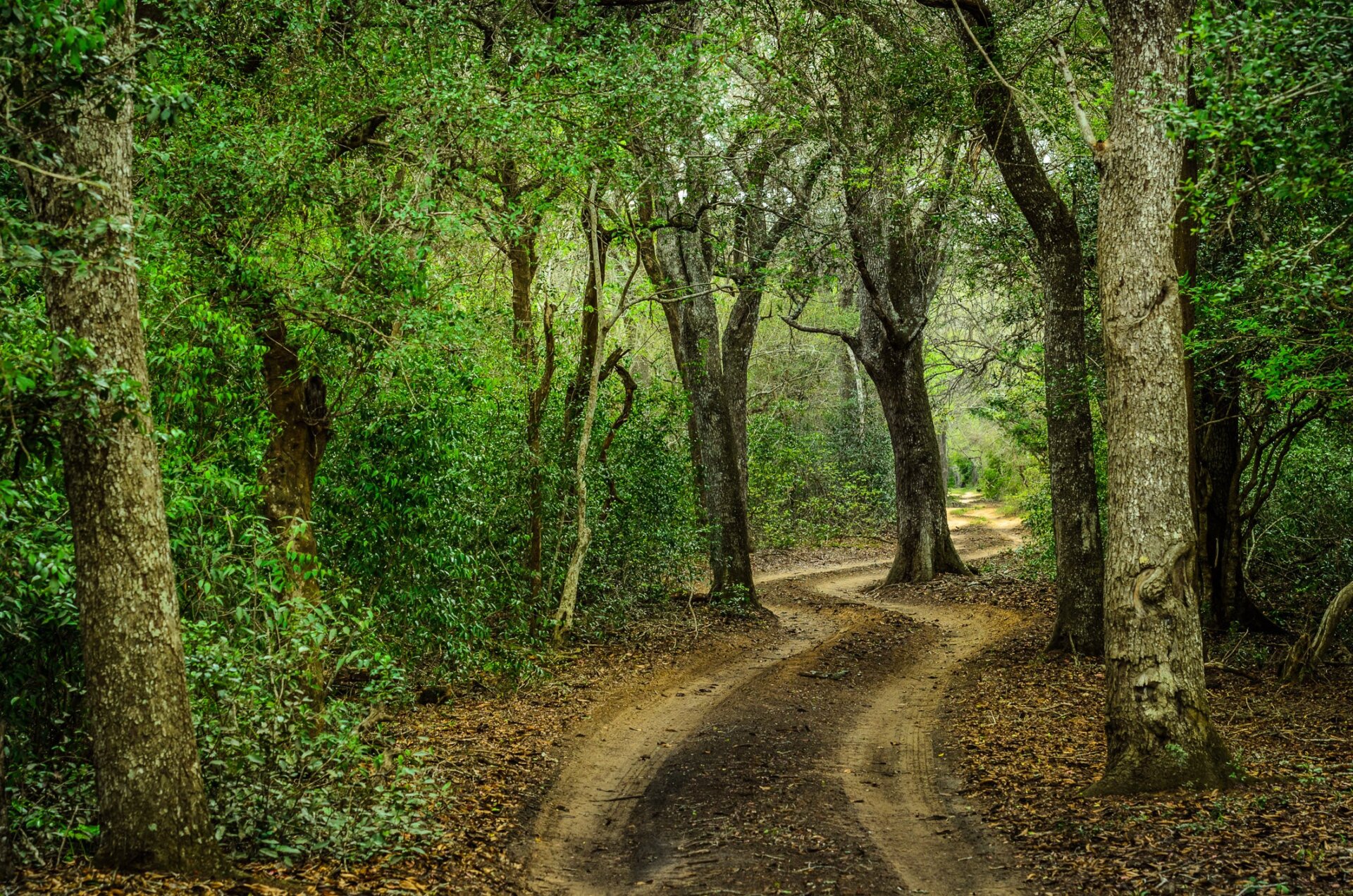 Photo: Roger De La Harper