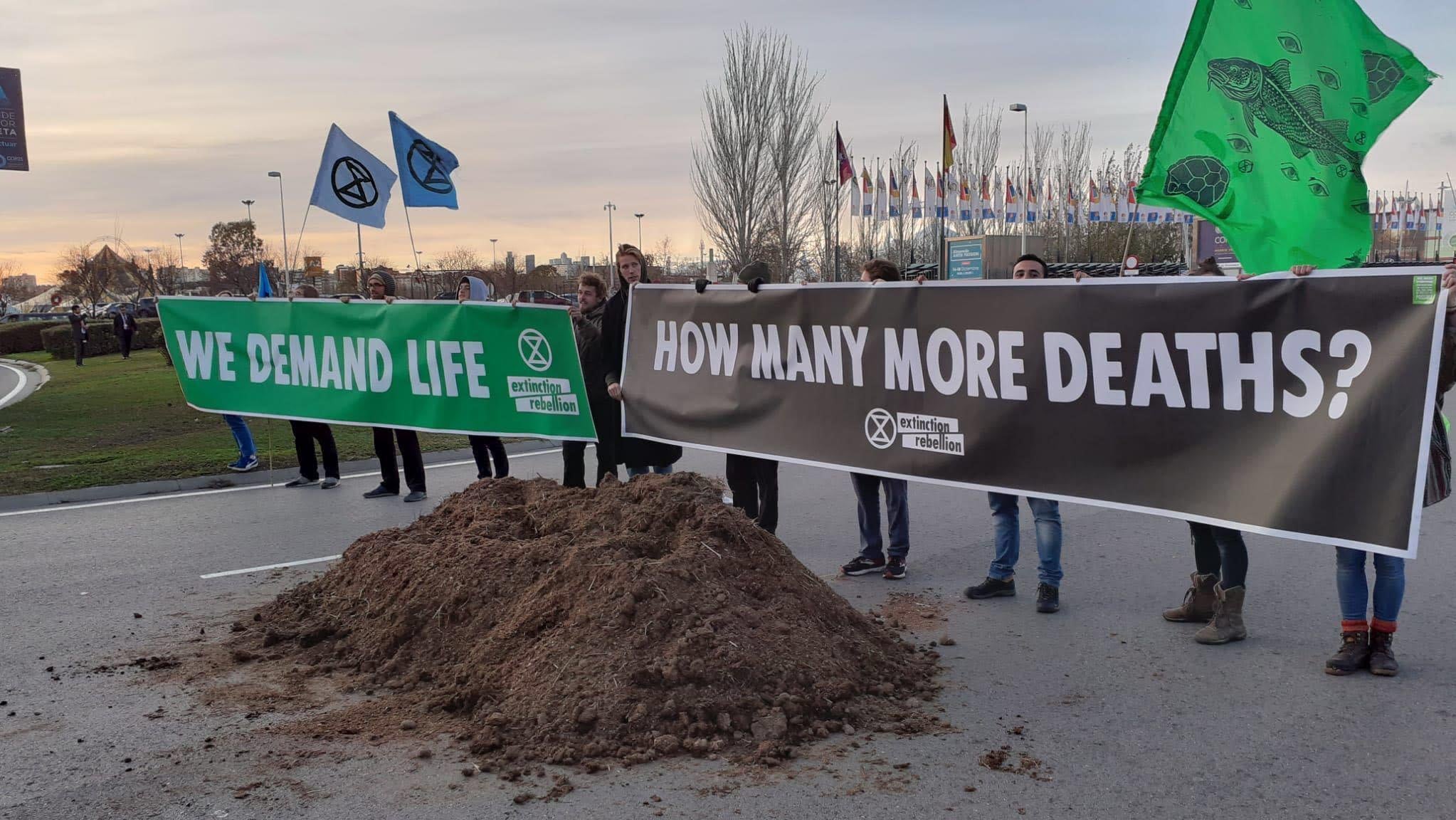 Environmental activists dump horse manure outside the United Nations climate summit Saturday to subtlety signal these talks are horseshit.