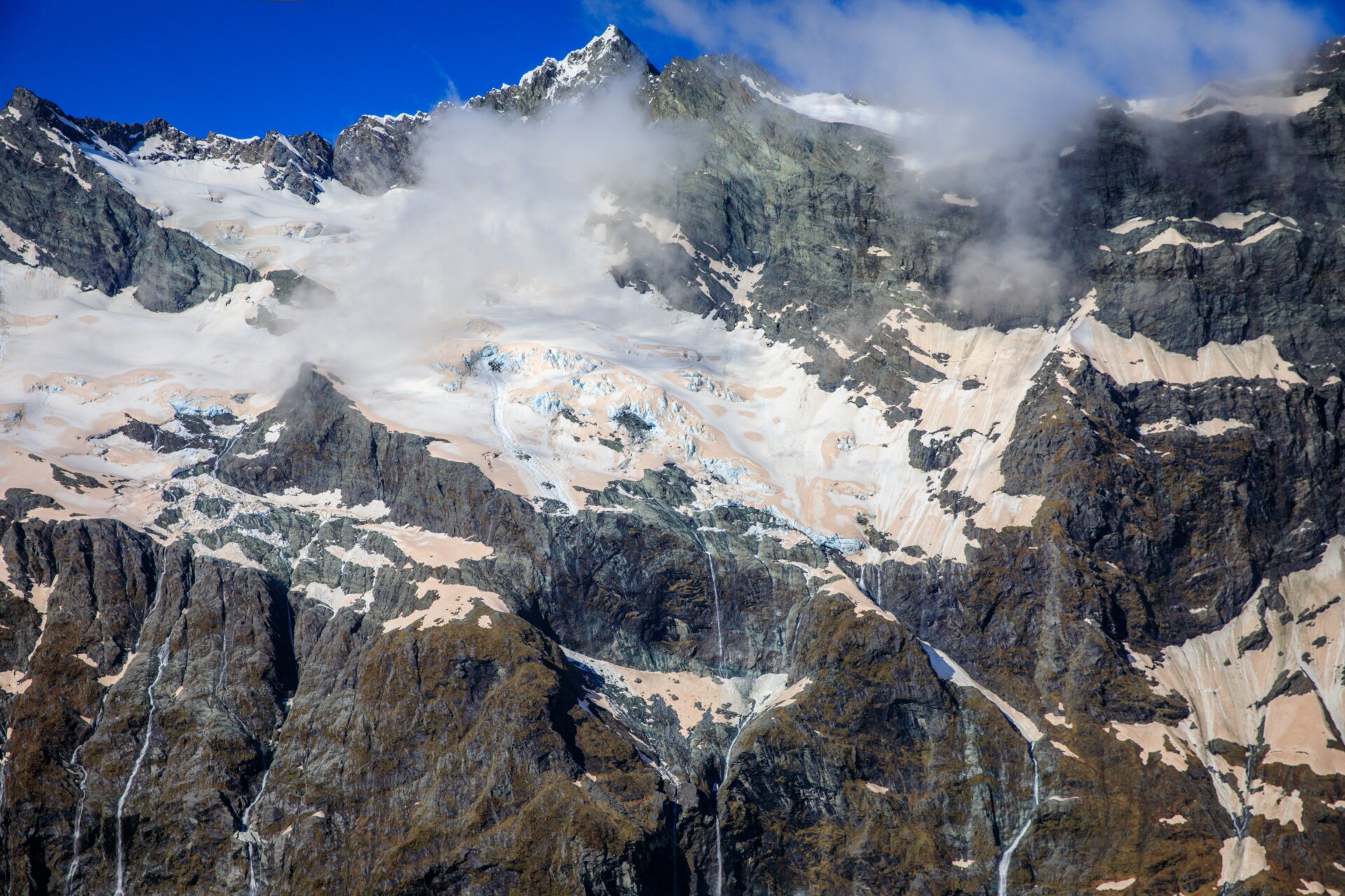 Photo: Elizabeth Carlson